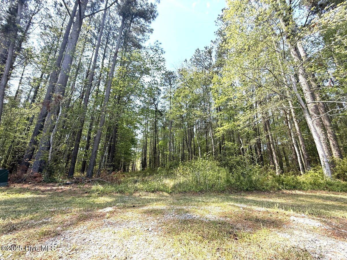 Lot 5 Mixon Creek Drive Property Photo 14