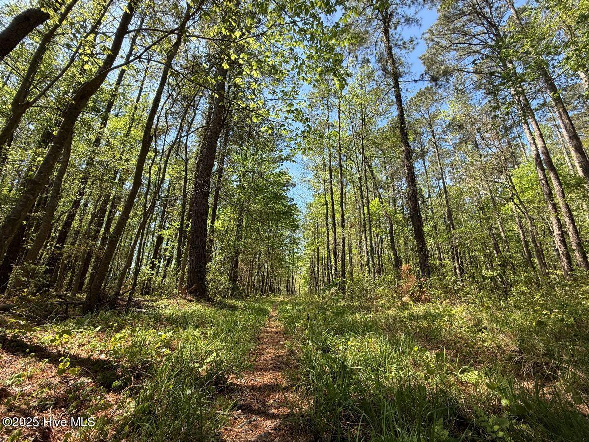 Lot 5 Mixon Creek Drive Property Photo 16