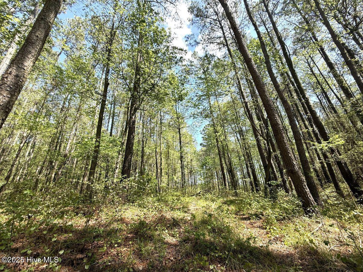 Lot 5 Mixon Creek Drive Property Photo 17