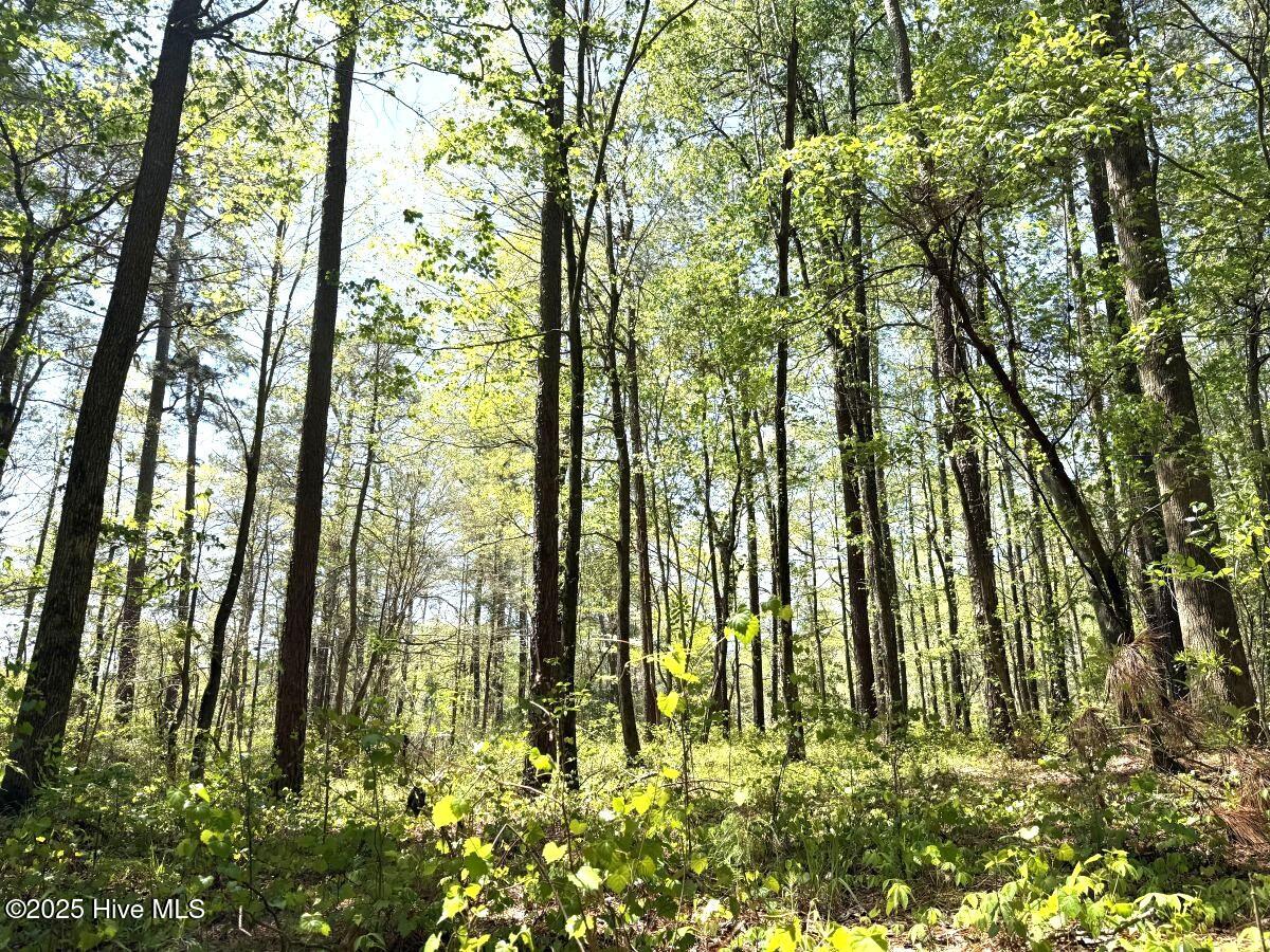 Lot 5 Mixon Creek Drive Property Photo 18