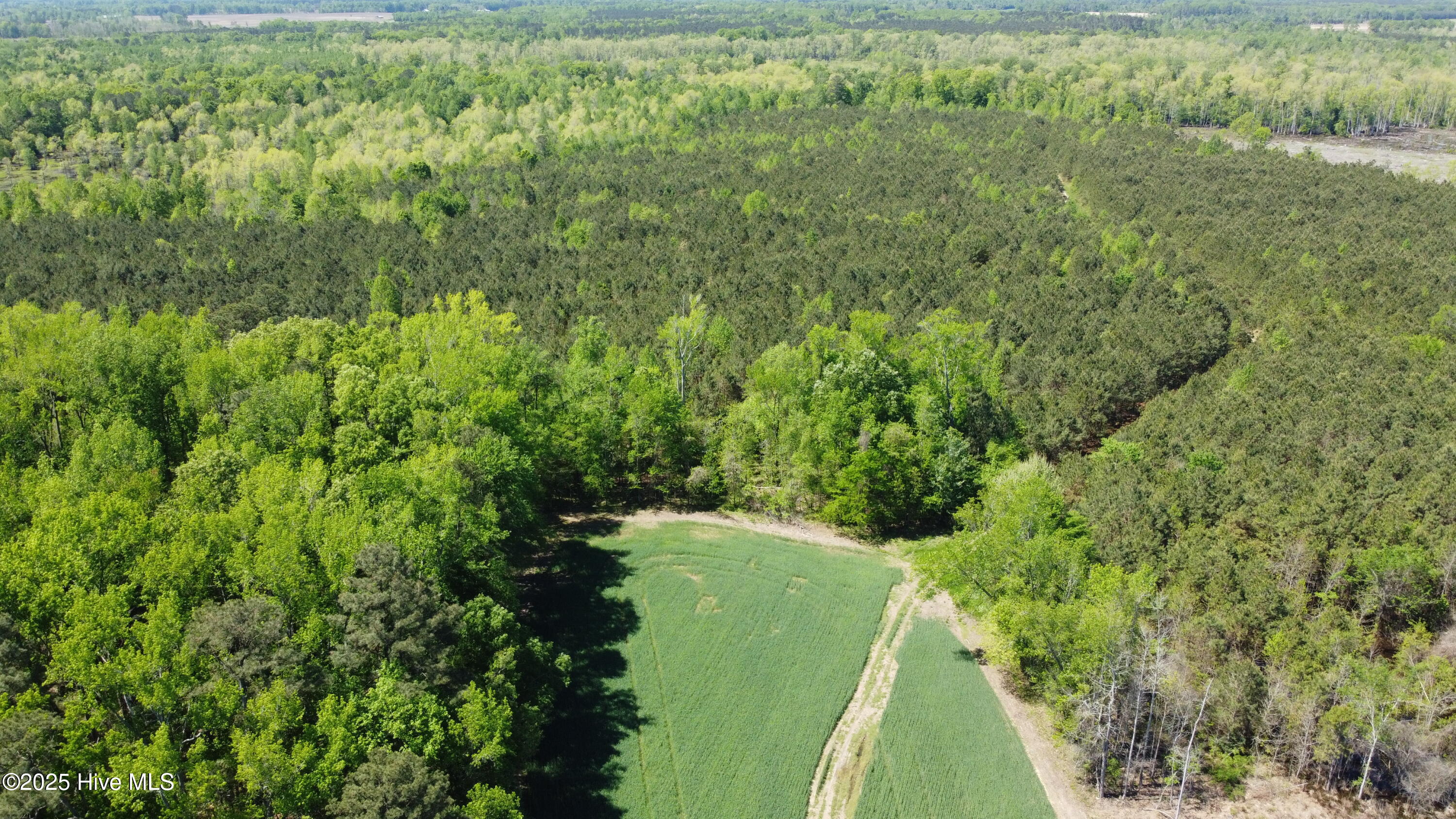 Off Speights Chapel Road Property Photo 2