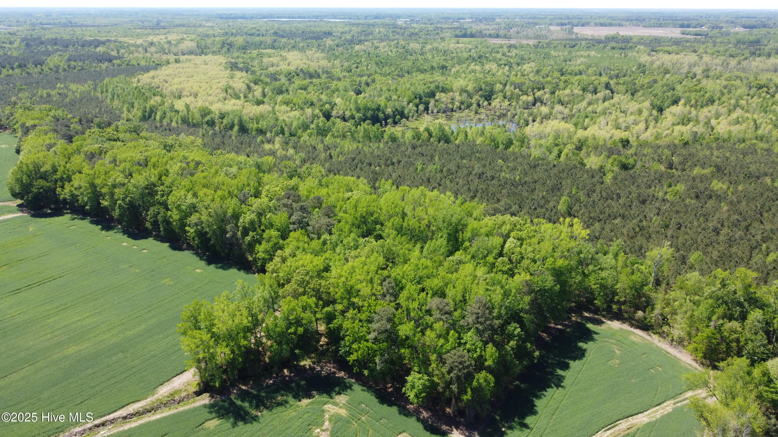 Off Speights Chapel Road Property Photo 3