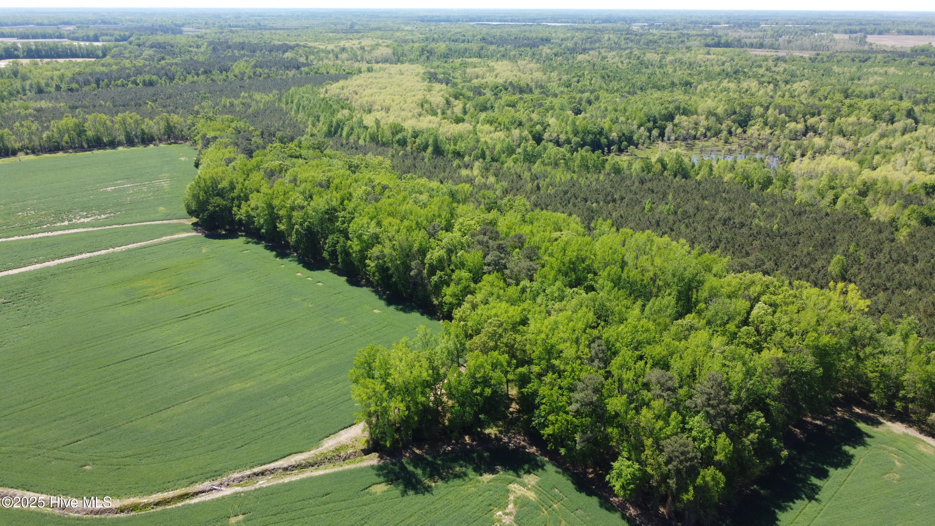 Off Speights Chapel Road Property Photo 4