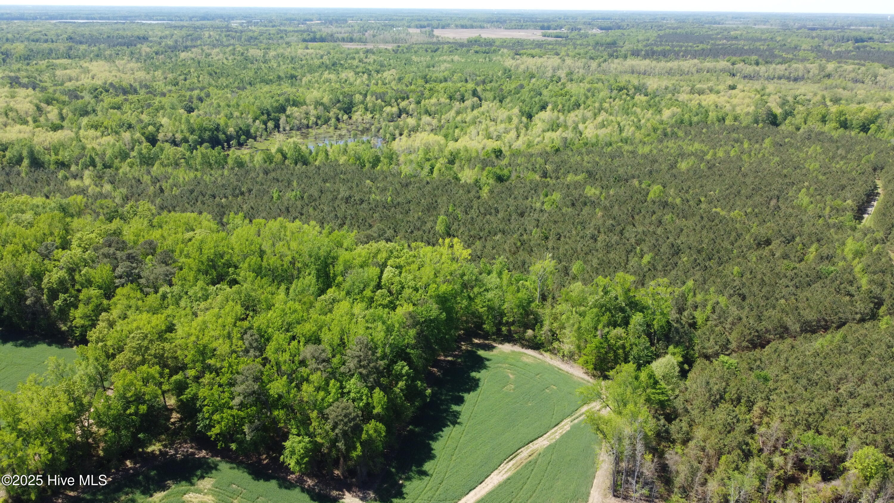 Off Speights Chapel Road Property Photo 5