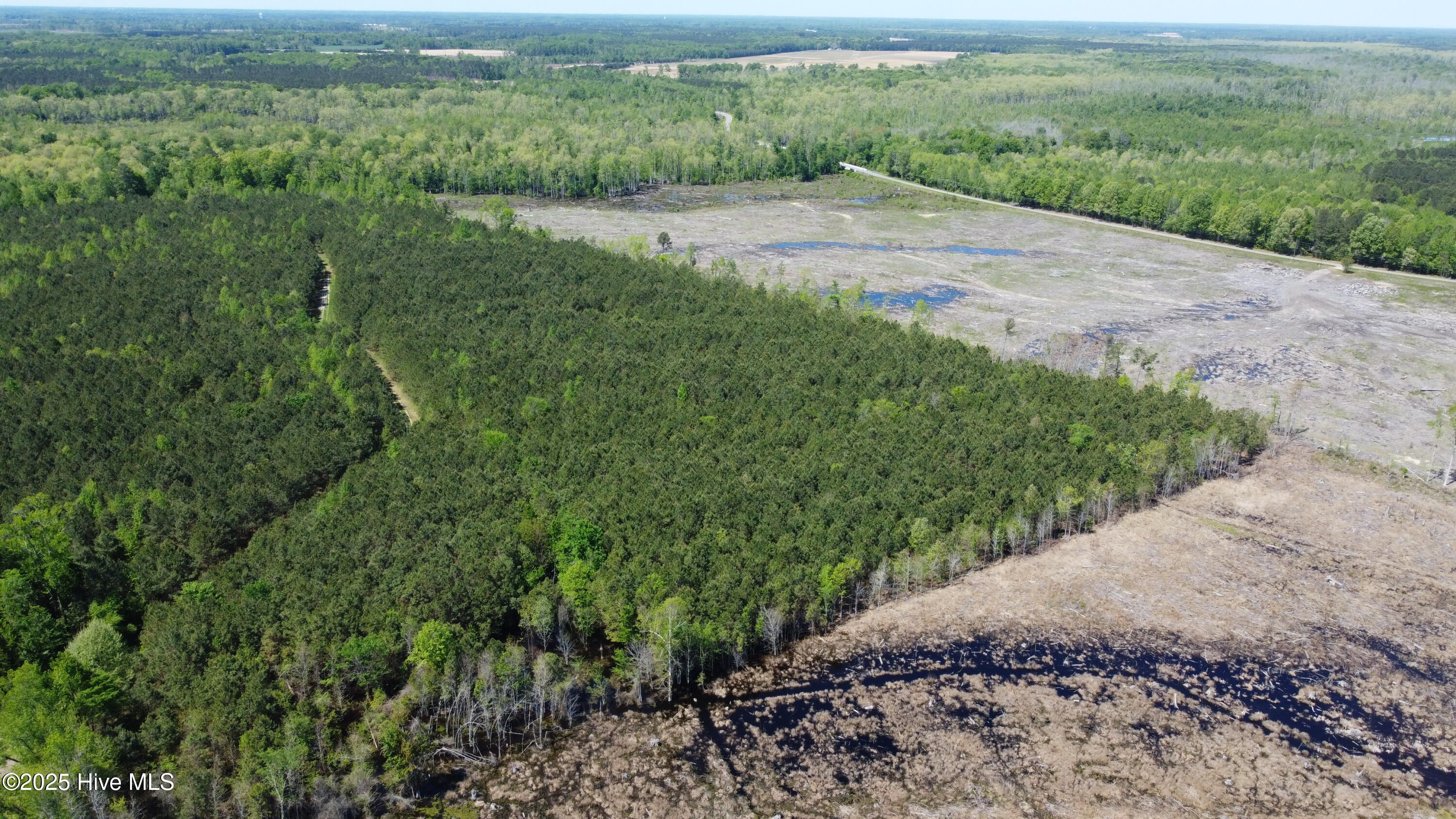 Off Speights Chapel Road Property Photo 6