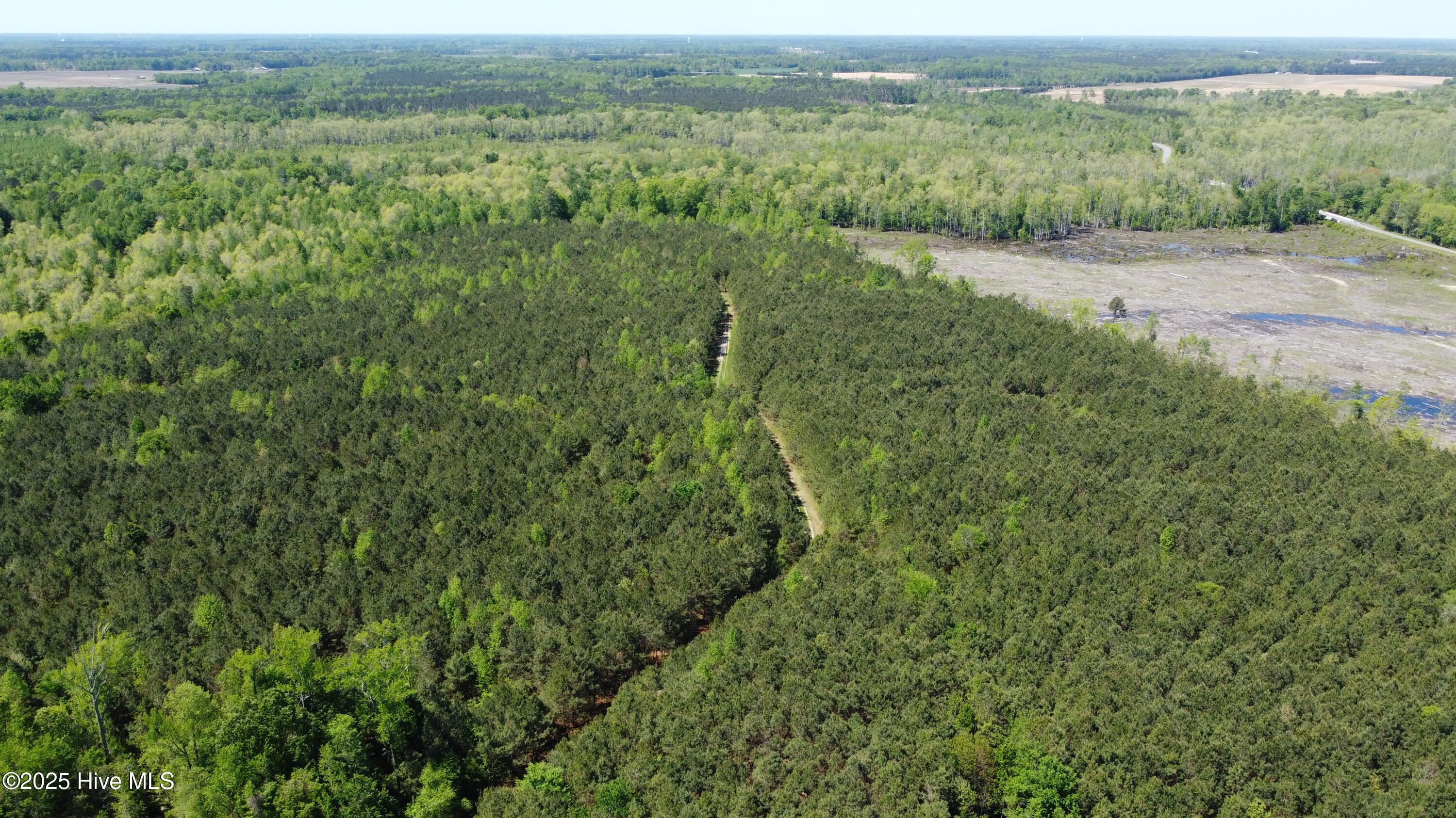 Off Speights Chapel Road Property Photo 7