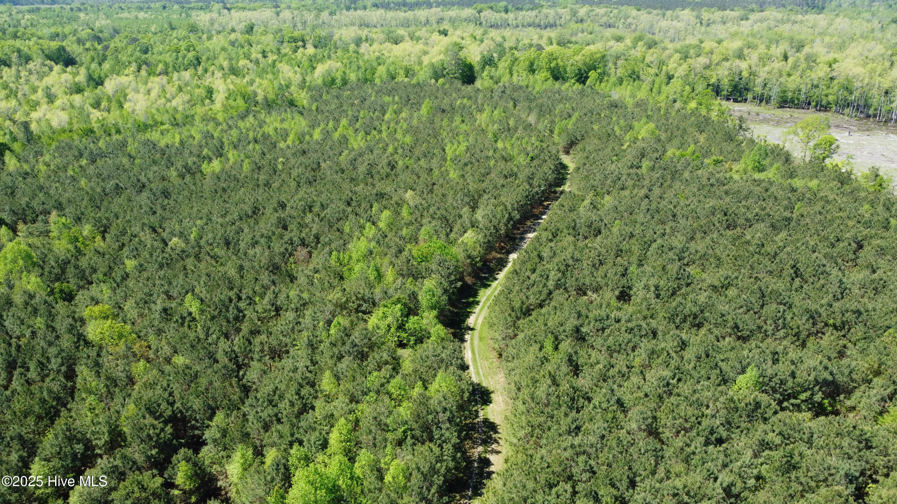 Off Speights Chapel Road Property Photo 9