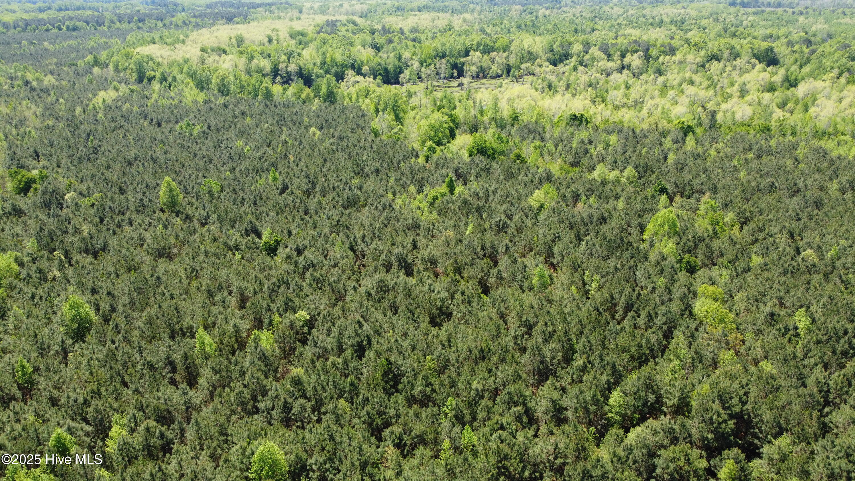 Off Speights Chapel Road Property Photo 10