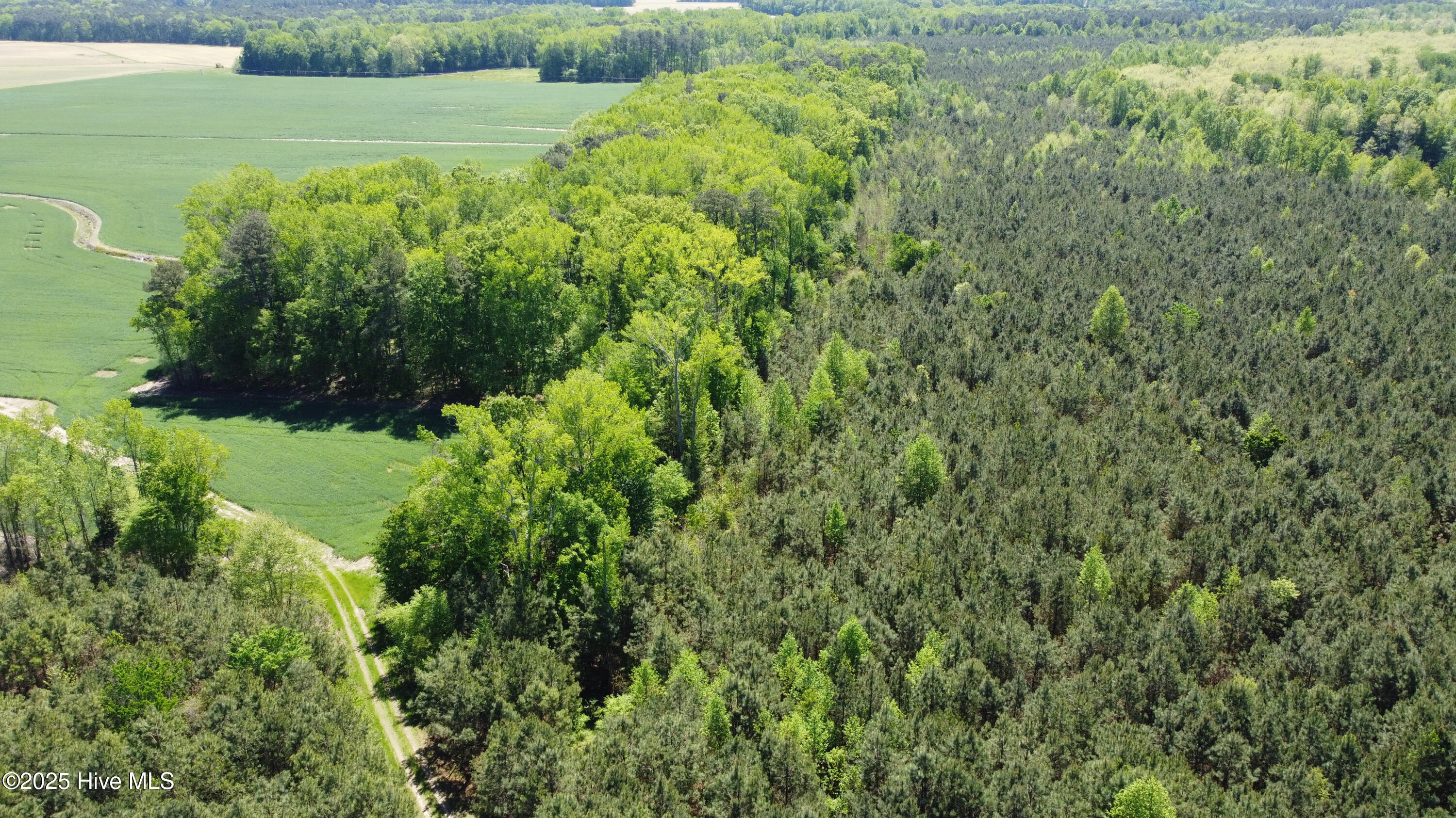 Off Speights Chapel Road Property Photo 11