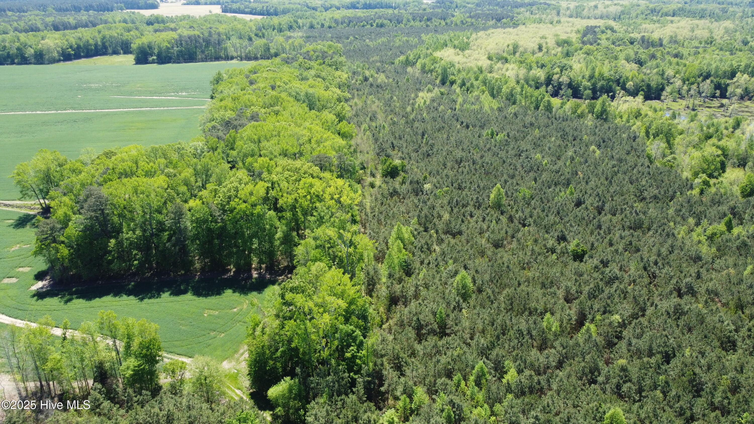 Off Speights Chapel Road Property Photo 12