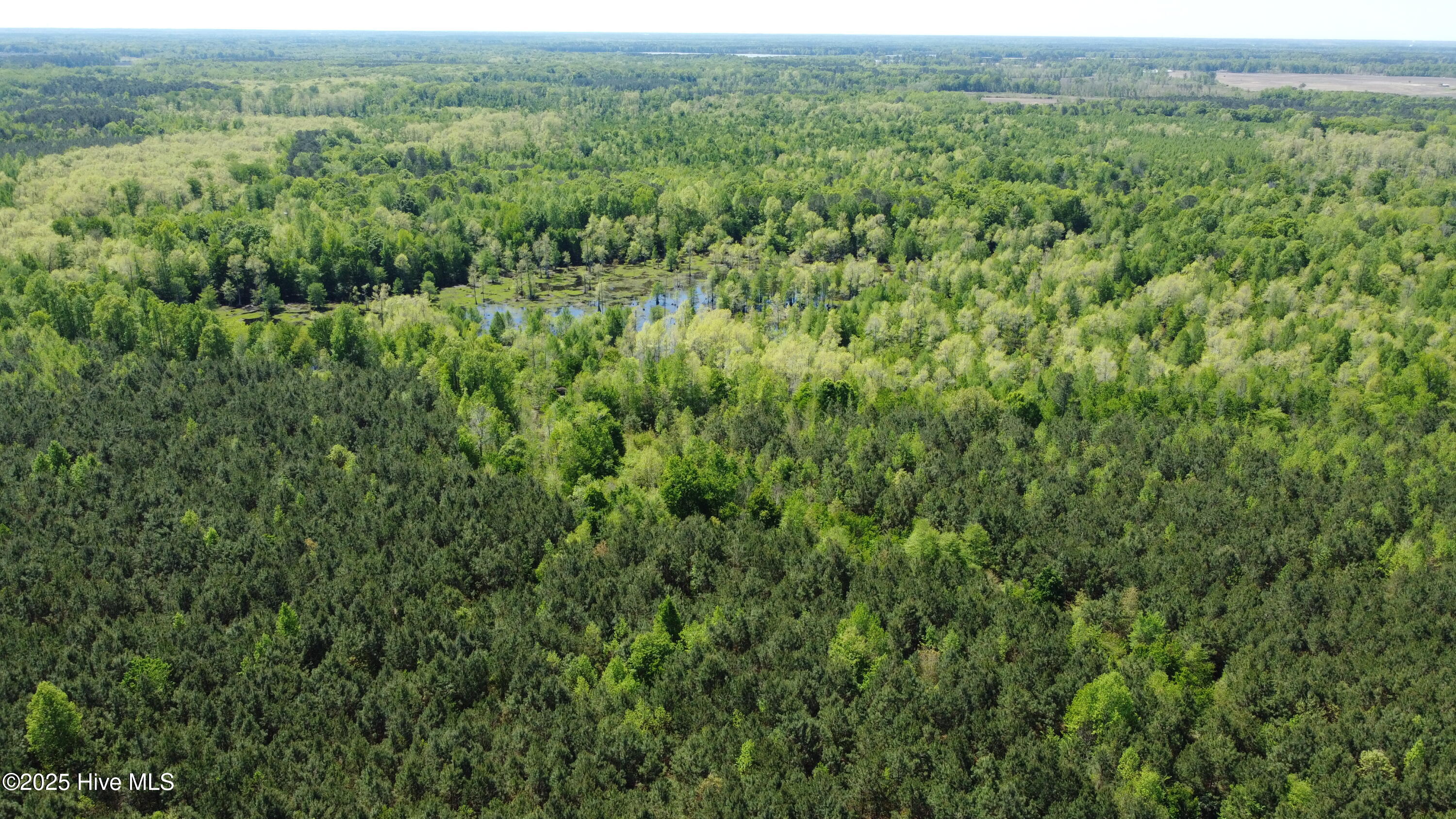 Off Speights Chapel Road Property Photo 13