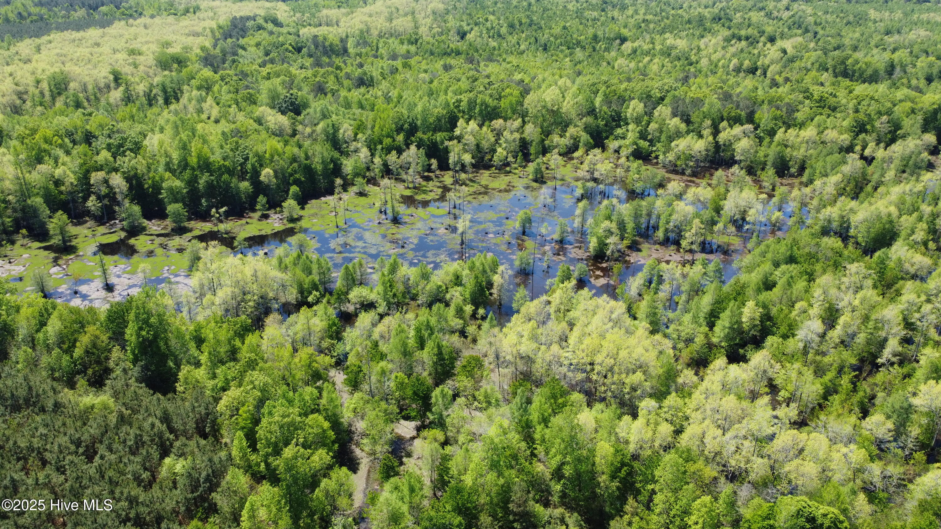 Off Speights Chapel Road Property Photo 14