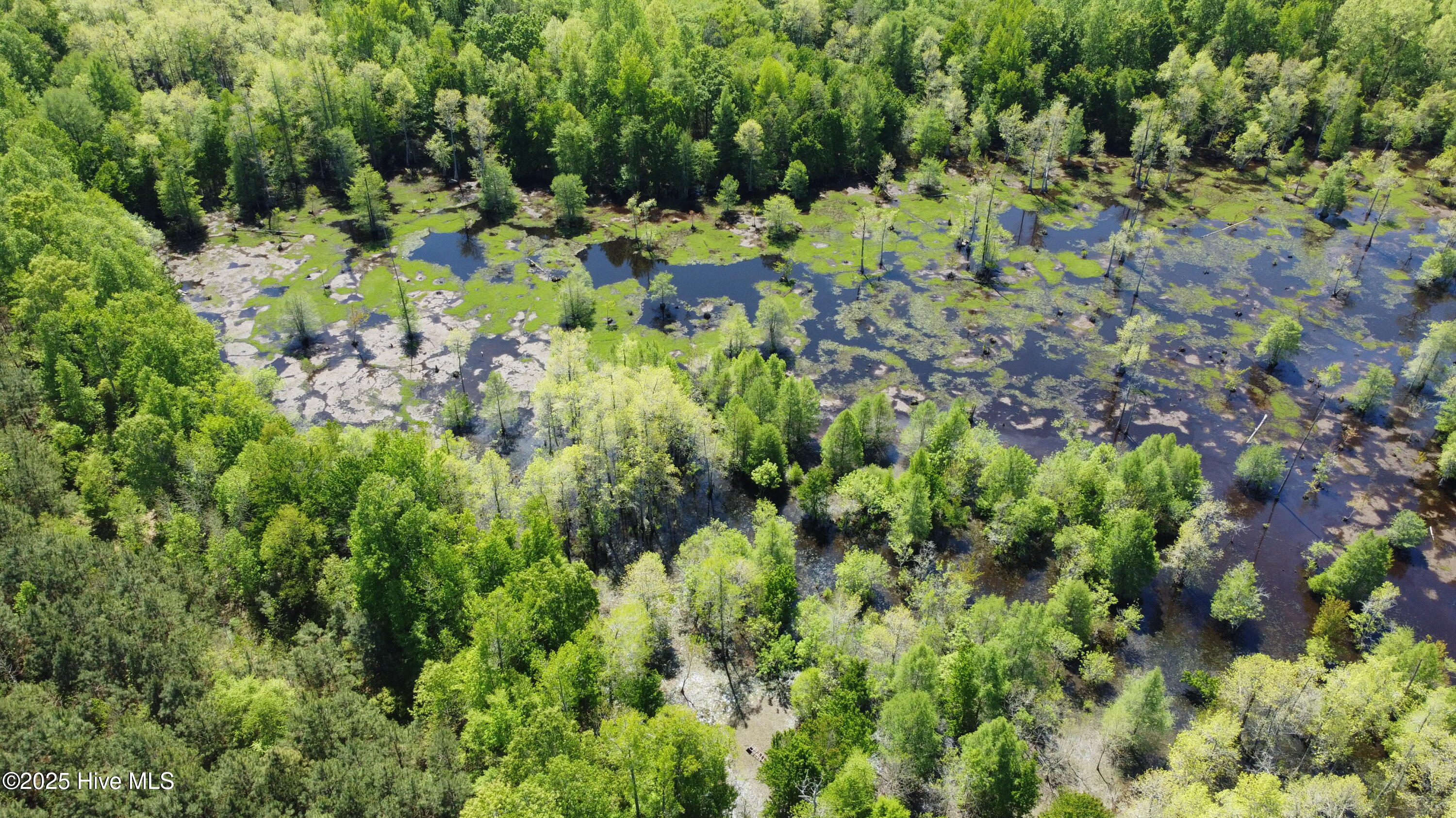 Off Speights Chapel Road Property Photo 15