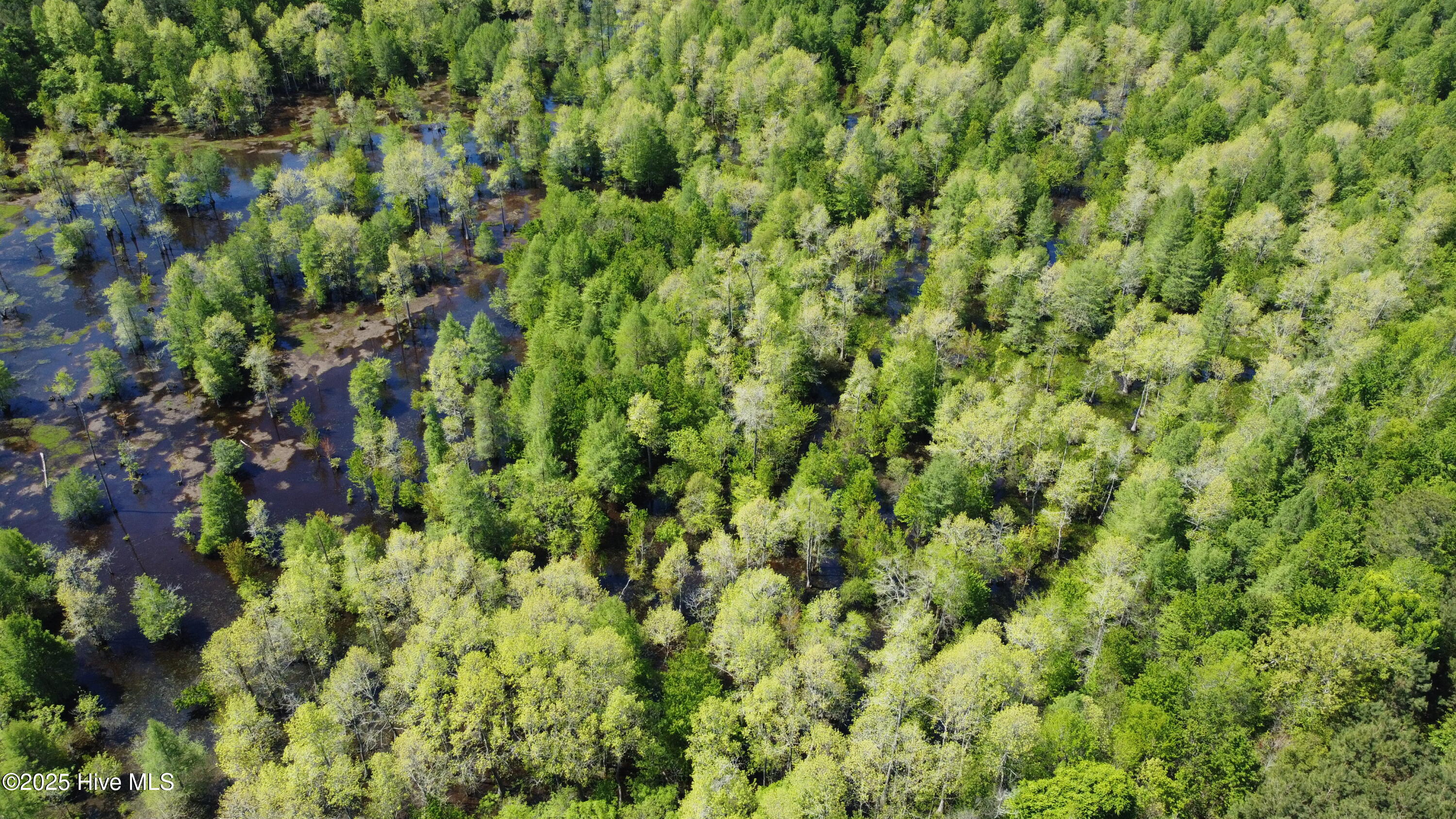 Off Speights Chapel Road Property Photo 16