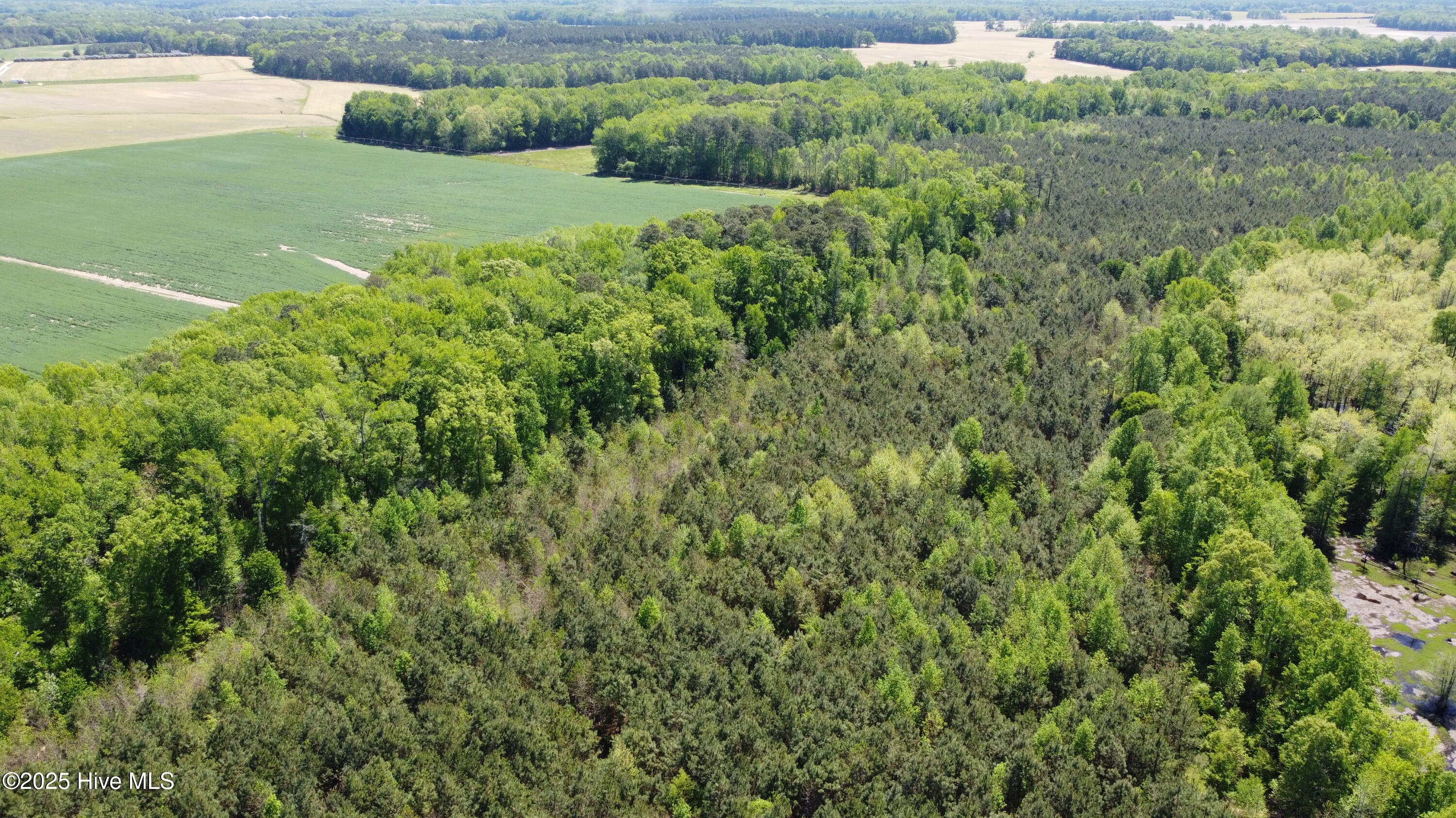 Off Speights Chapel Road Property Photo 17