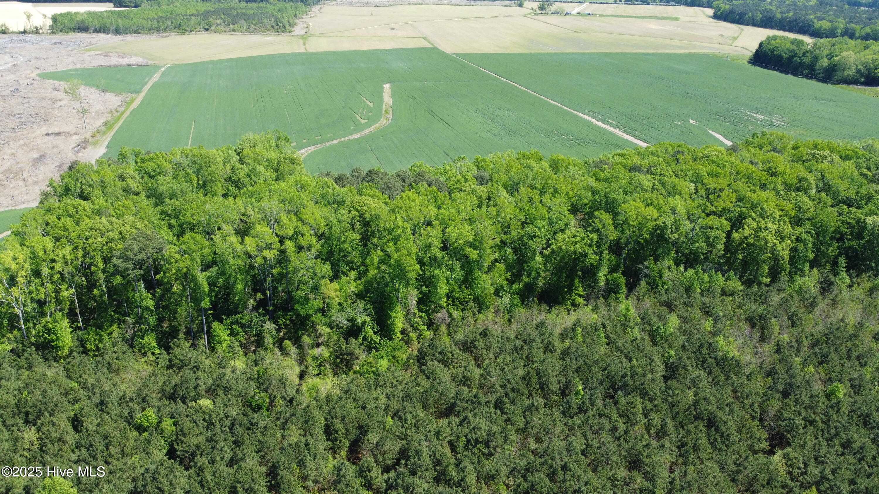 Off Speights Chapel Road Property Photo 18