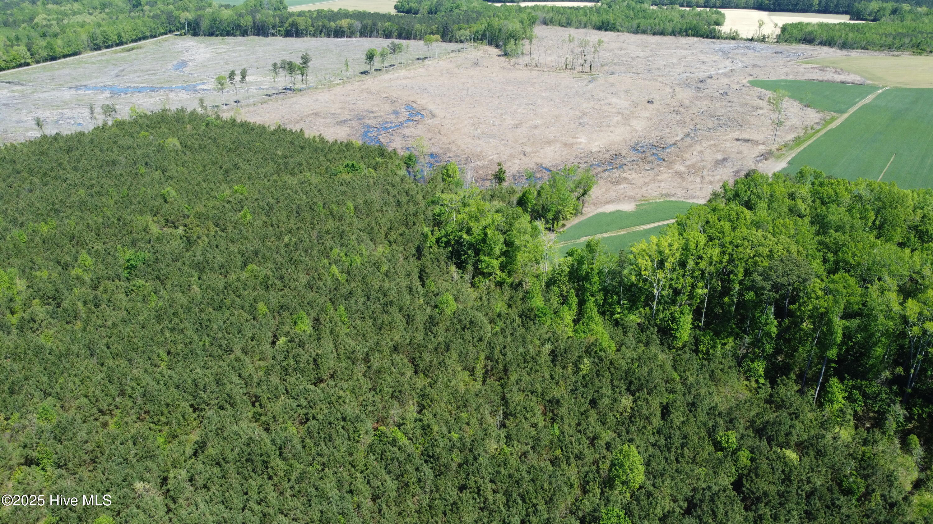 Off Speights Chapel Road Property Photo 19