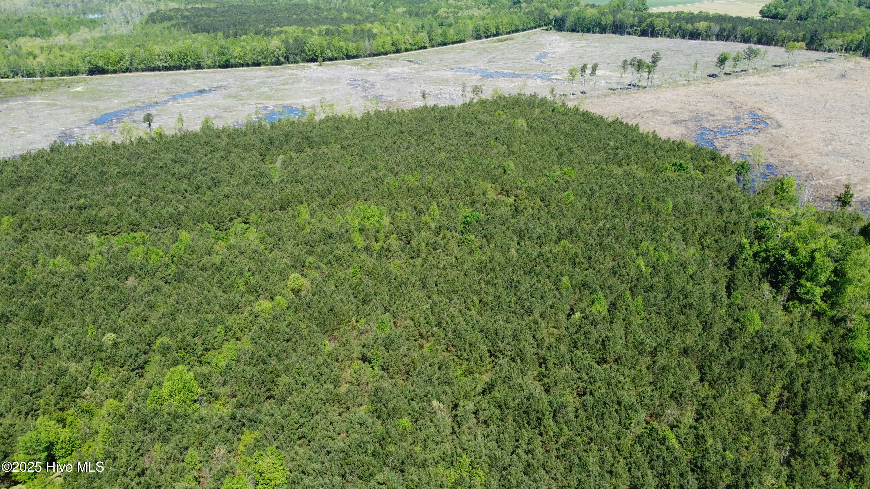 Off Speights Chapel Road Property Photo 20