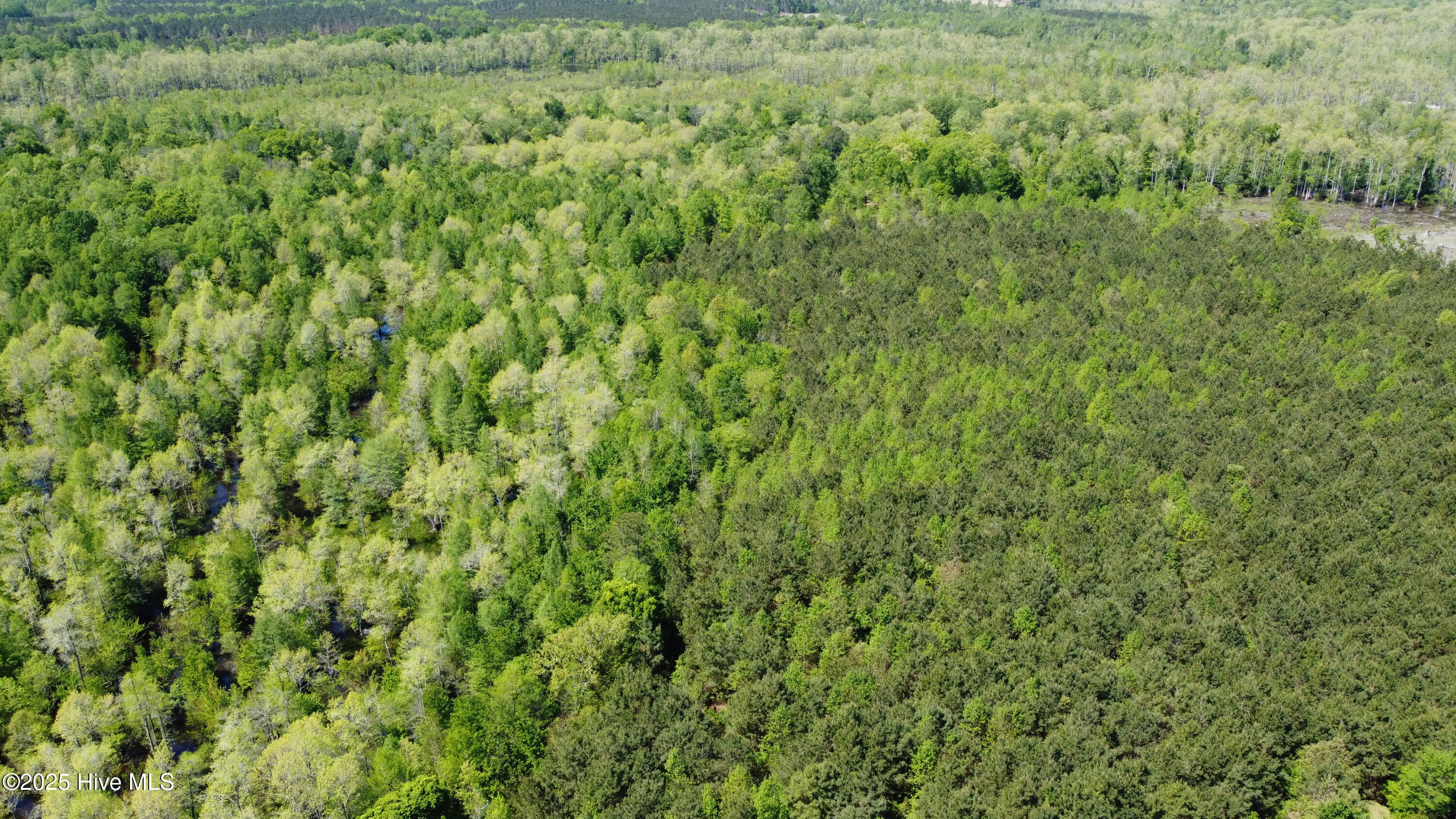 Off Speights Chapel Road Property Photo 21