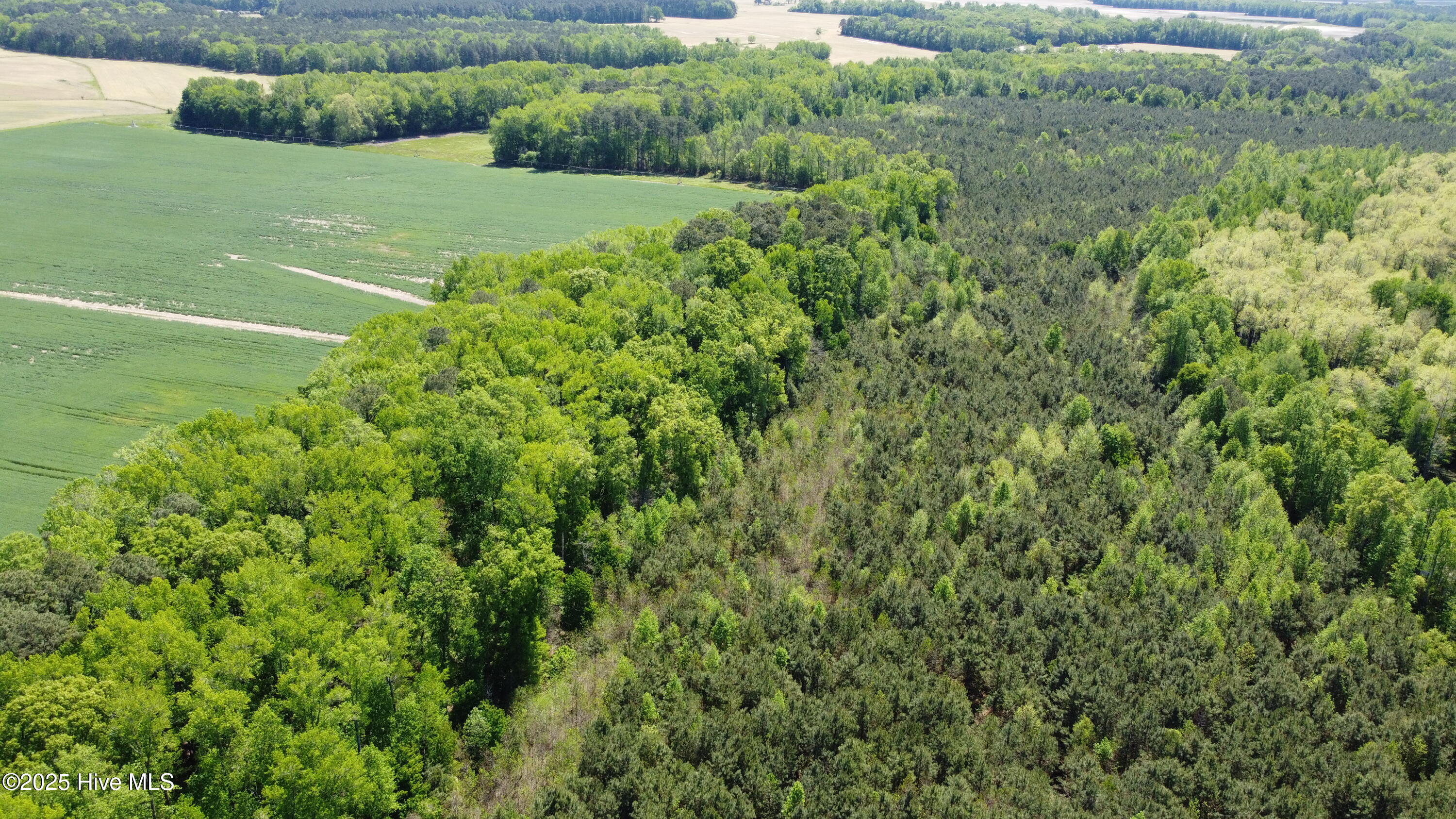 Off Speights Chapel Road Property Photo 22