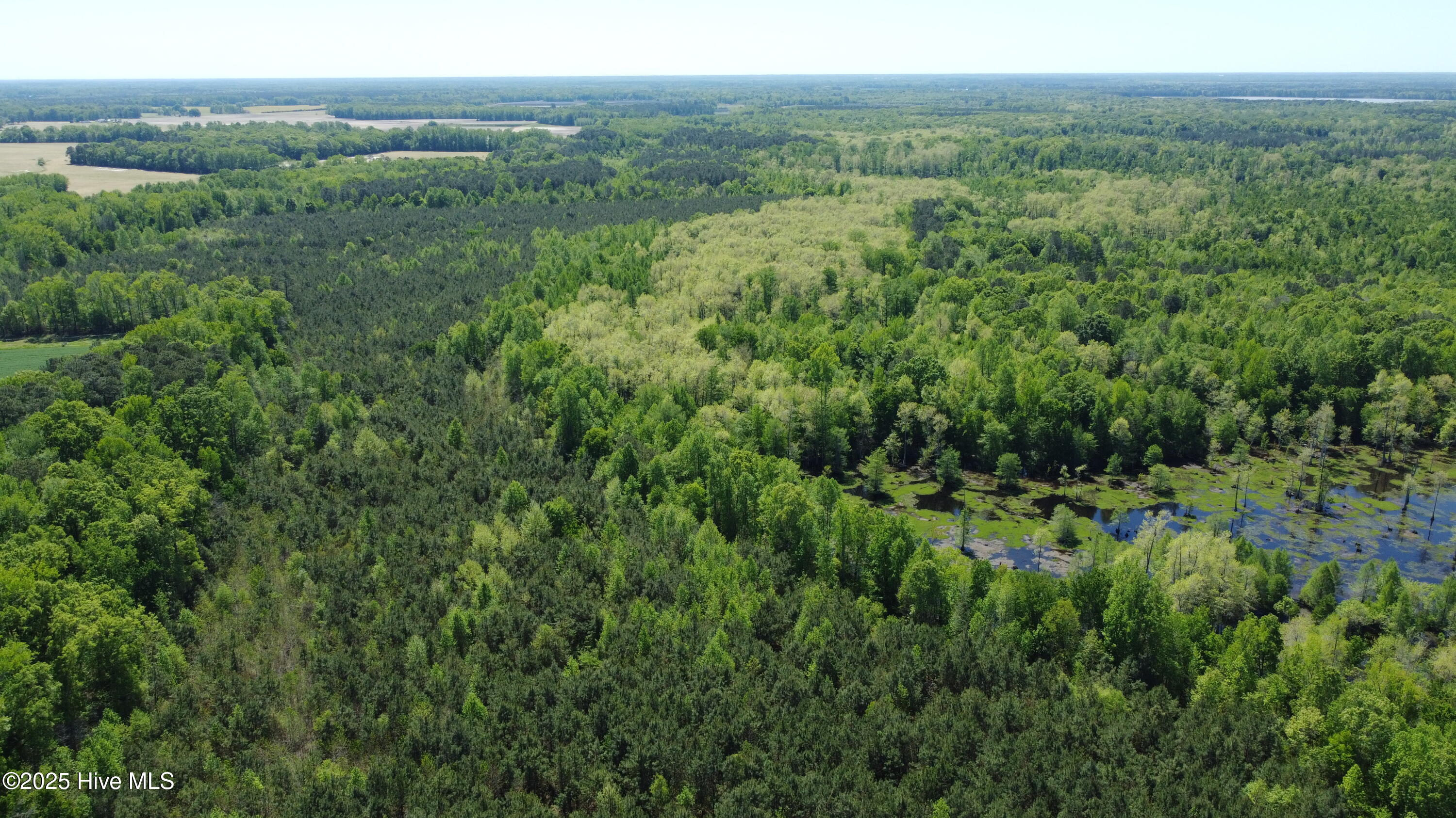 Off Speights Chapel Road Property Photo 23