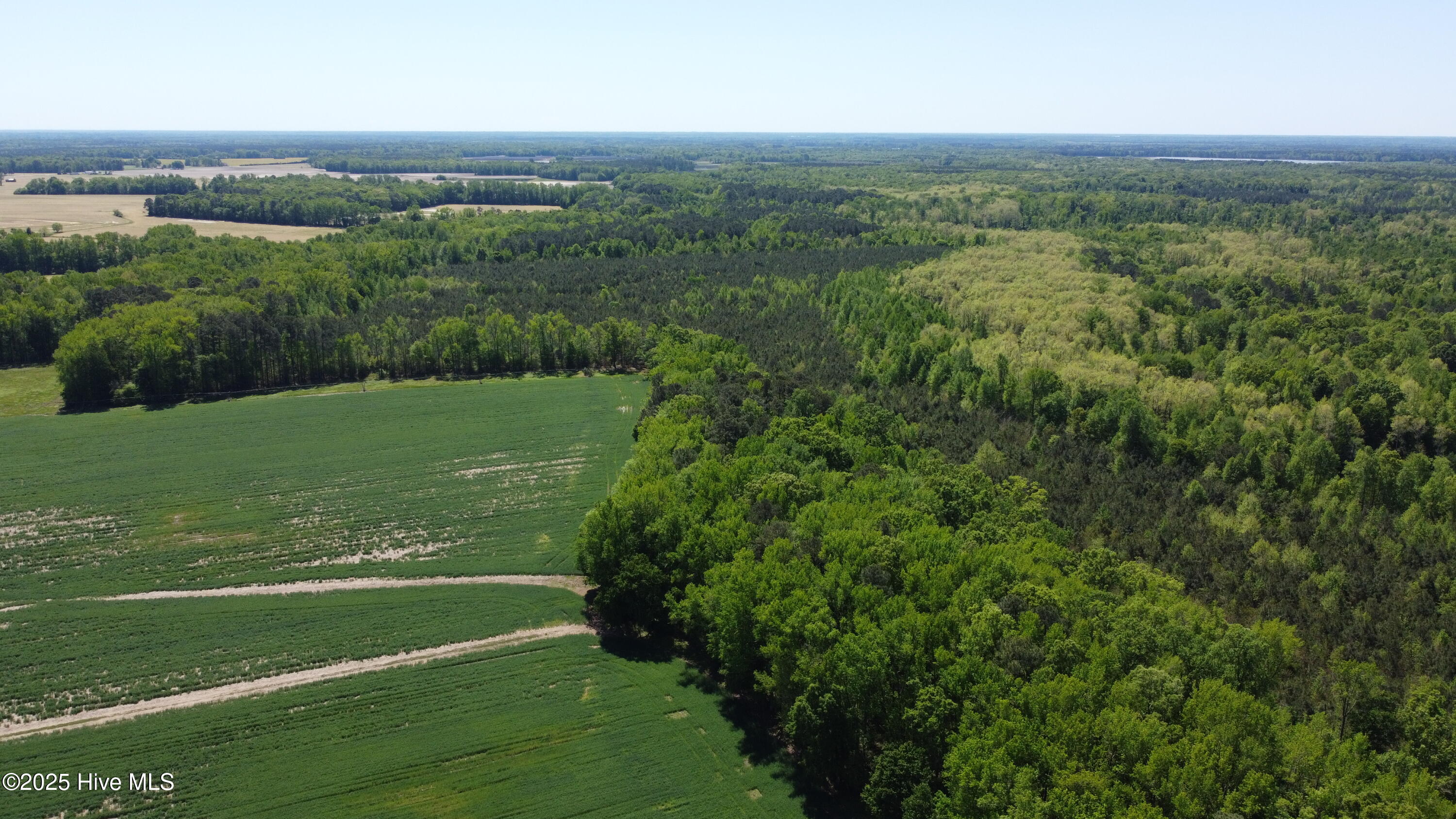 Off Speights Chapel Road Property Photo 24