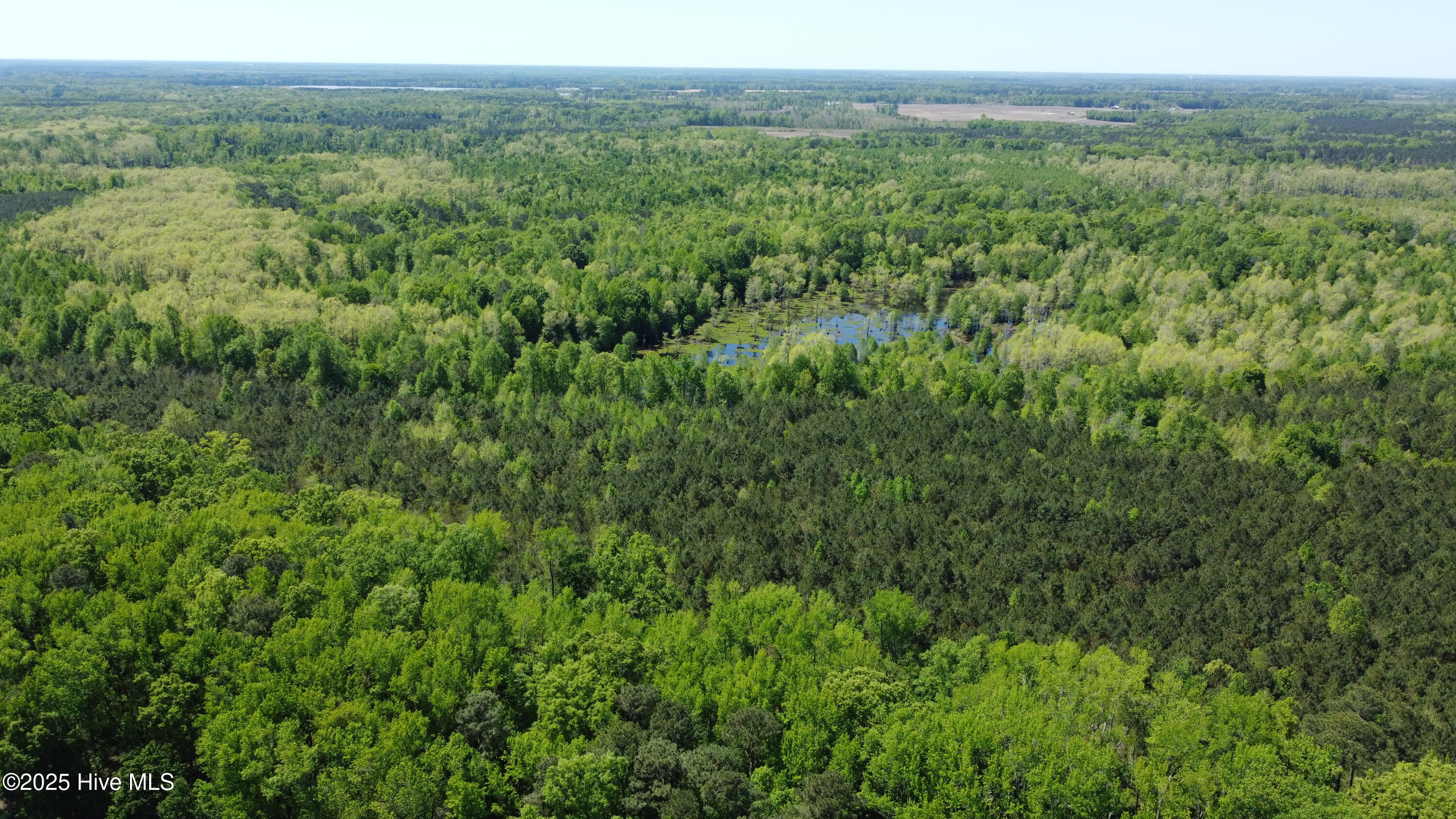 Off Speights Chapel Road Property Photo 25