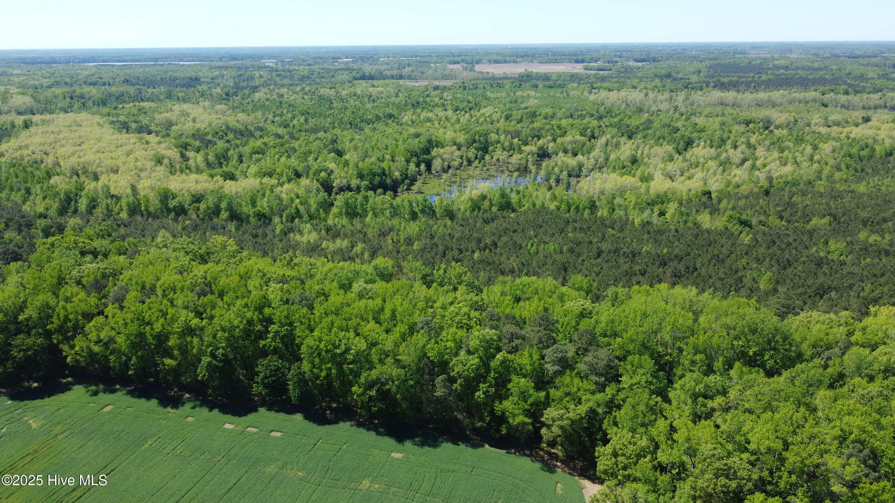 Off Speights Chapel Road Property Photo 26