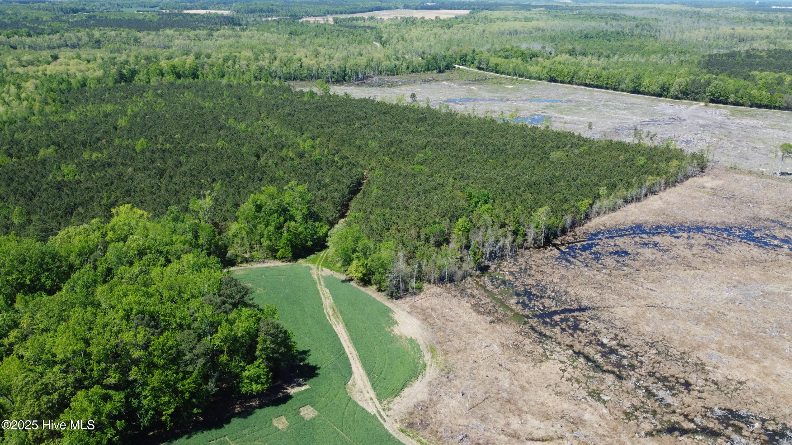 Off Speights Chapel Road Property Photo 27