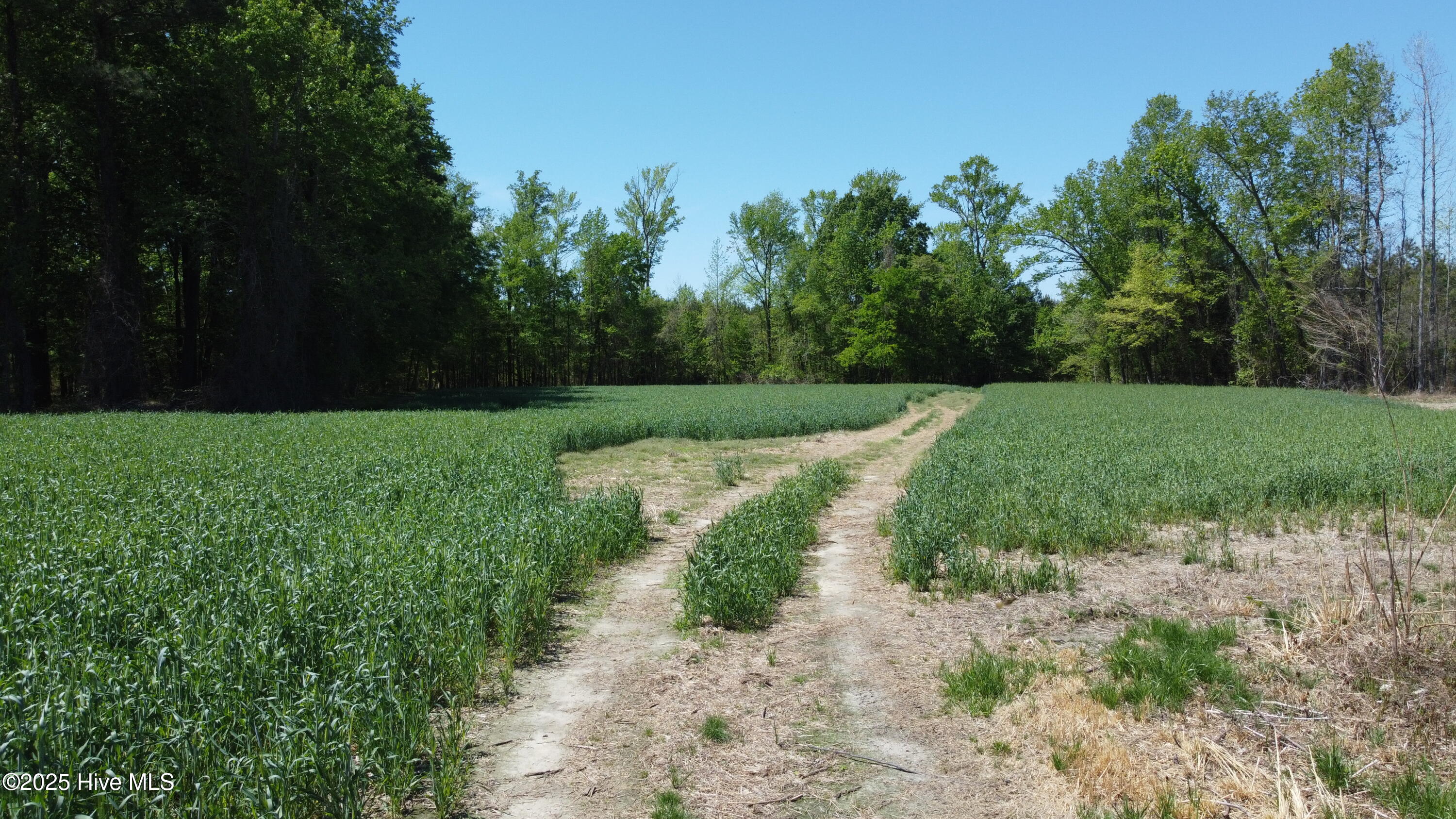 Off Speights Chapel Road Property Photo 28