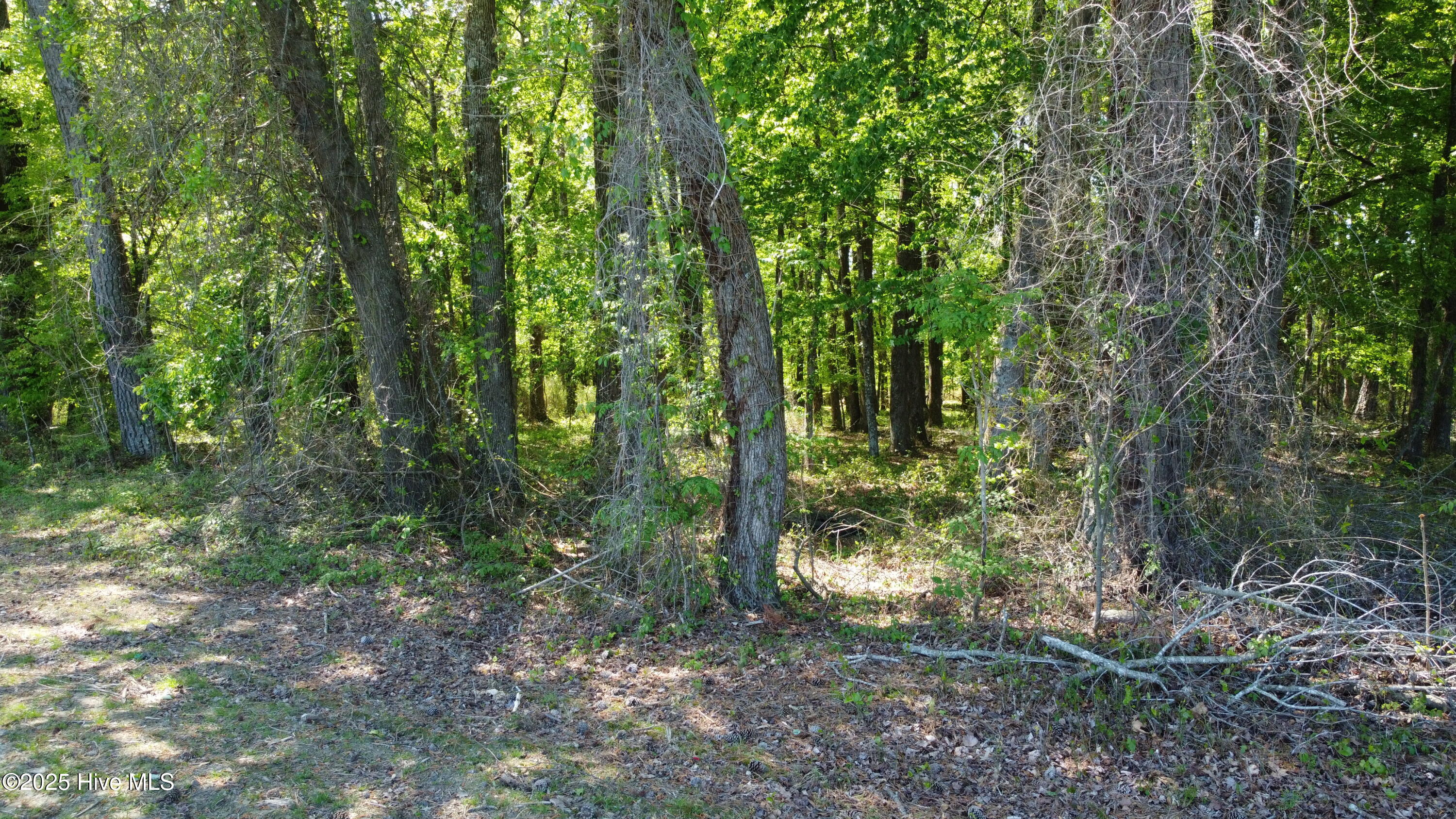 Off Speights Chapel Road Property Photo 29