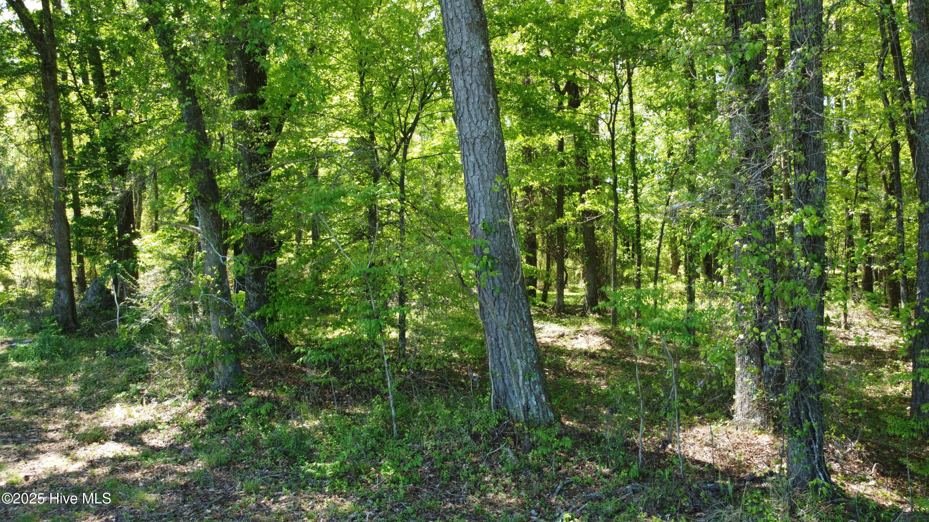 Off Speights Chapel Road Property Photo 30