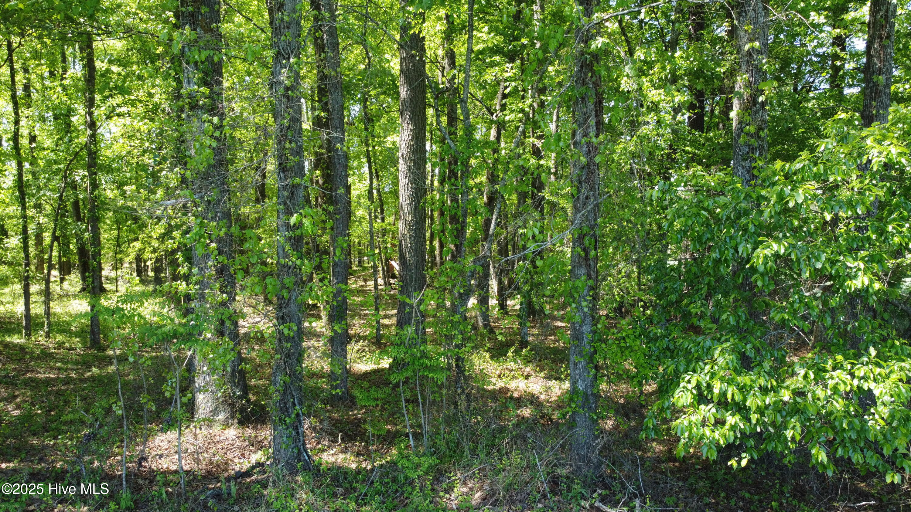 Off Speights Chapel Road Property Photo 31