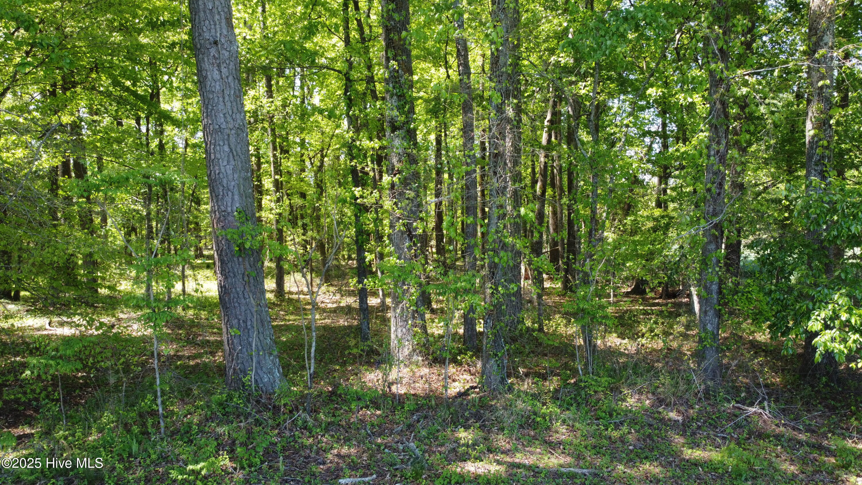 Off Speights Chapel Road Property Photo 32