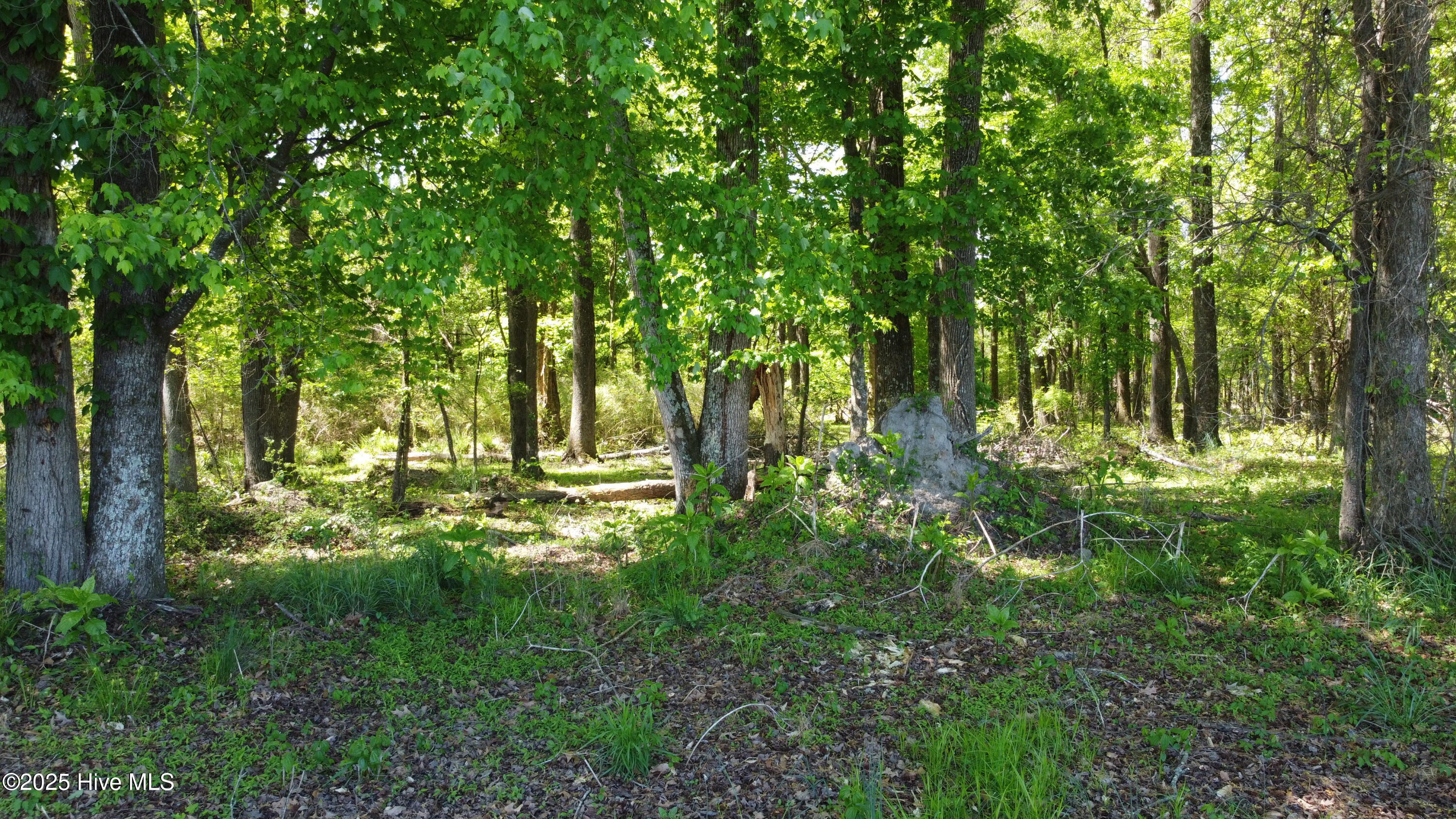 Off Speights Chapel Road Property Photo 33