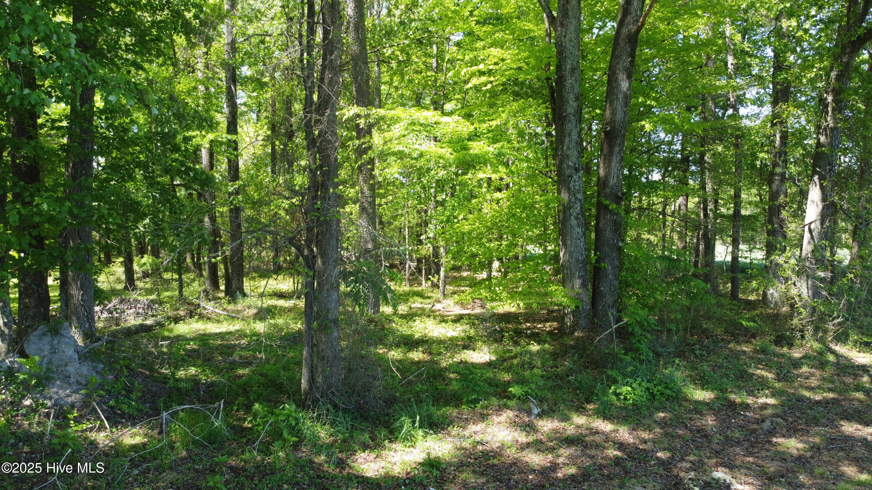 Off Speights Chapel Road Property Photo 34