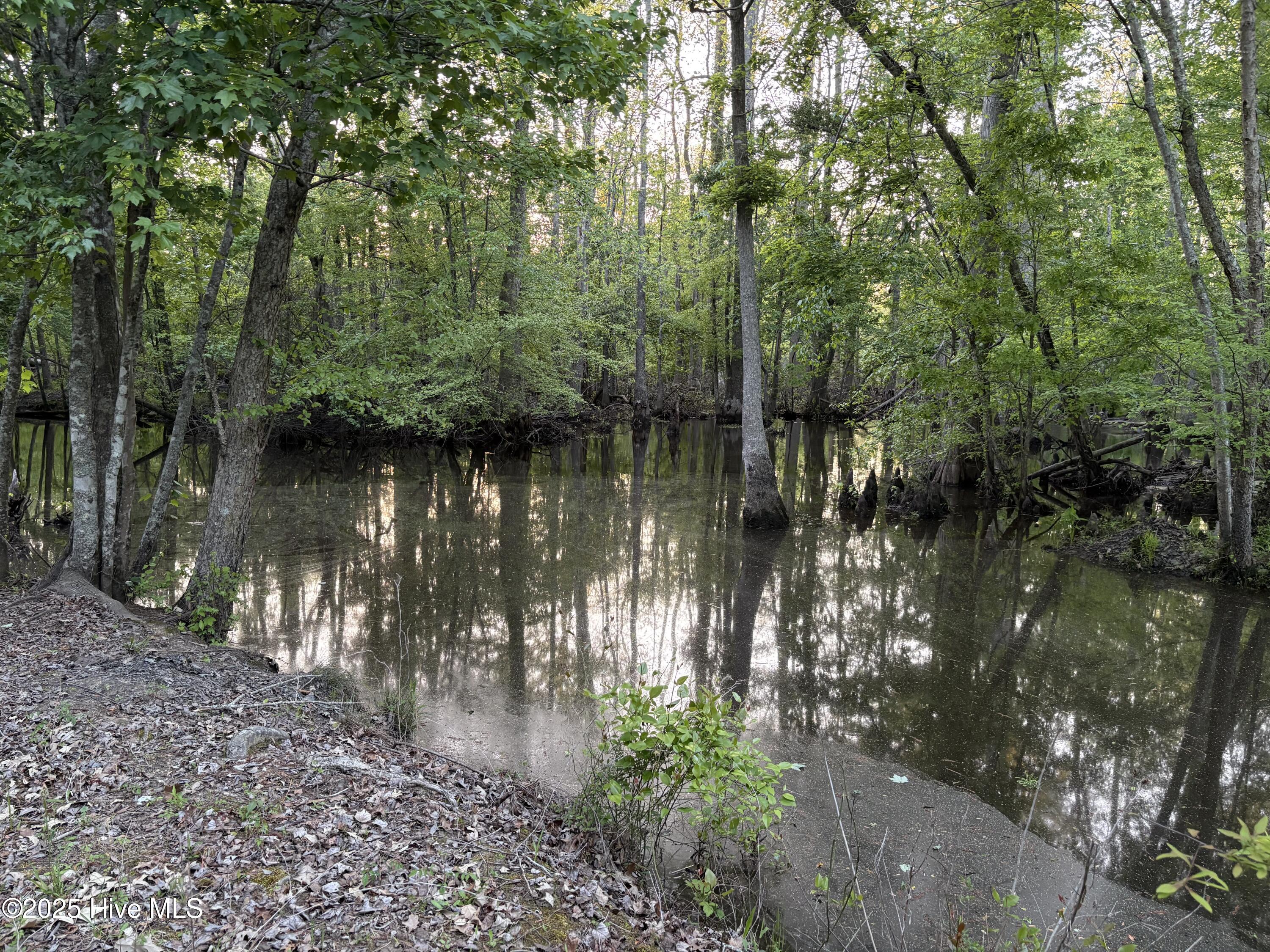 Off Speights Chapel Road Property Photo 39