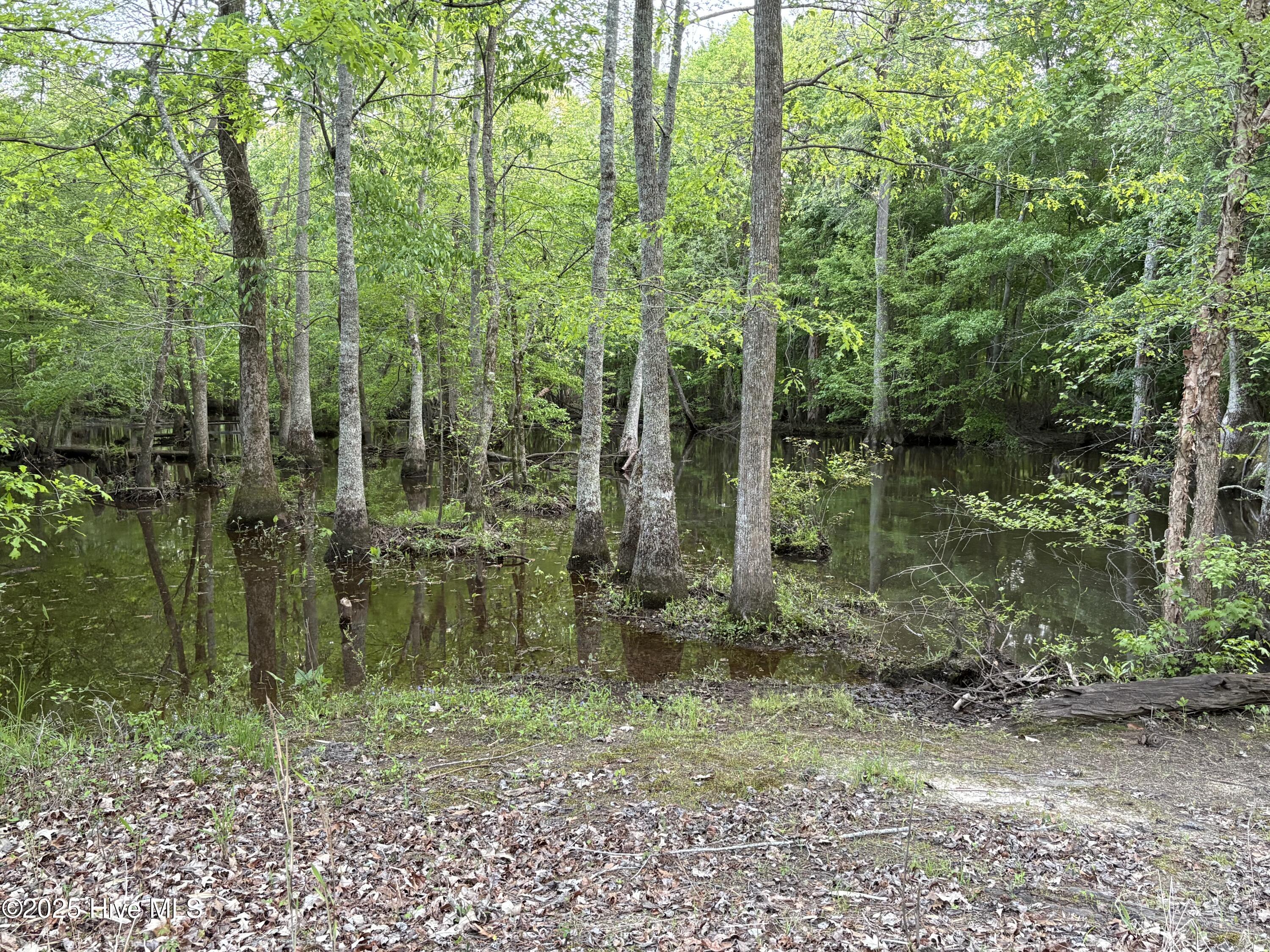 Off Speights Chapel Road Property Photo 40