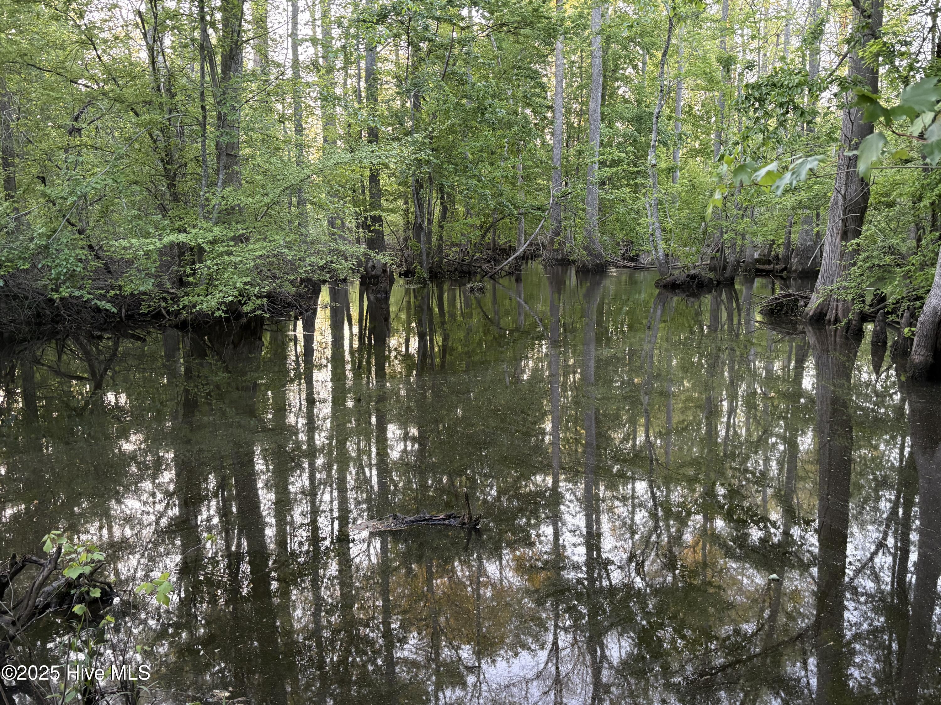 Off Speights Chapel Road Property Photo 41