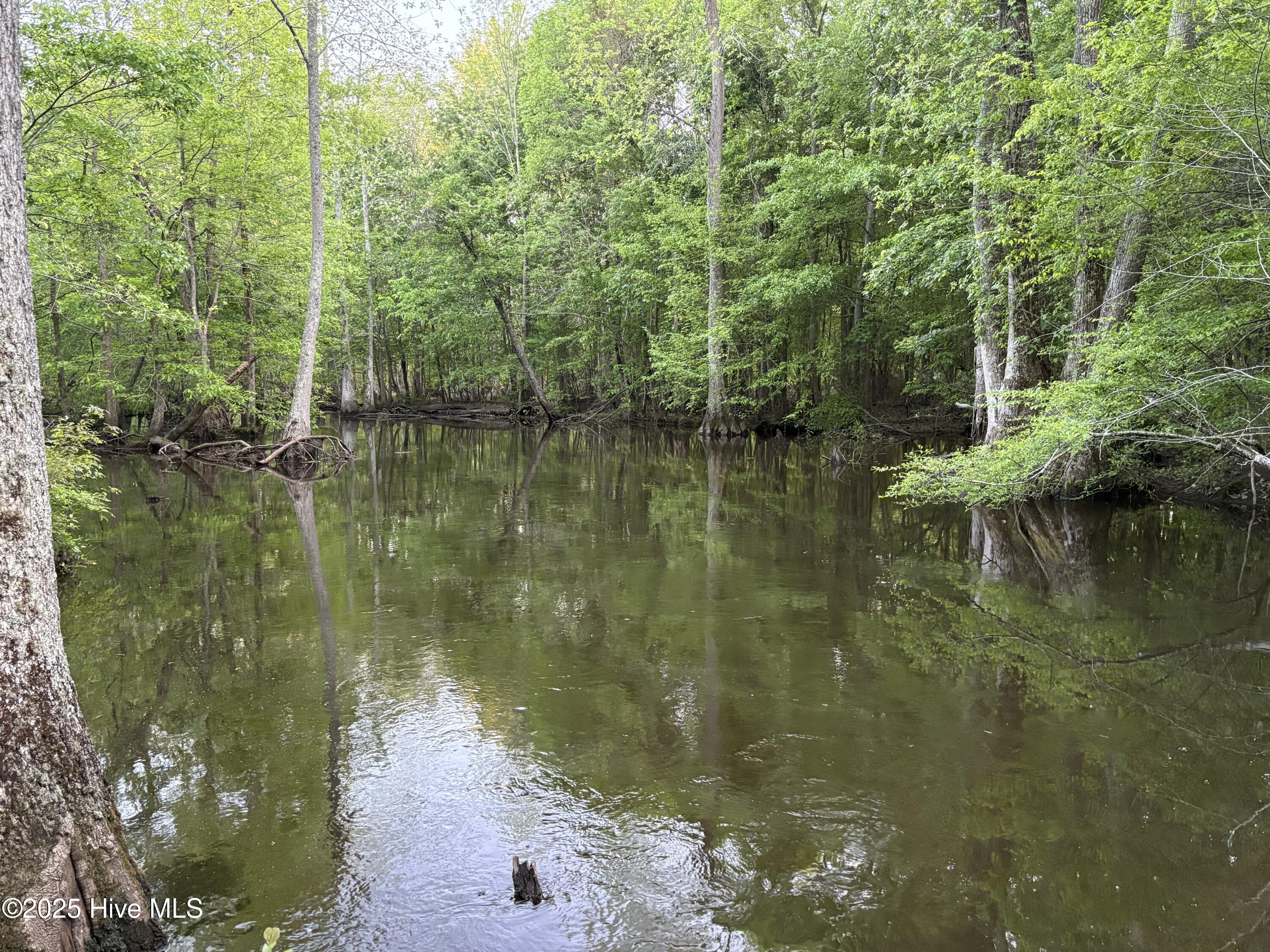 Off Speights Chapel Road Property Photo 42