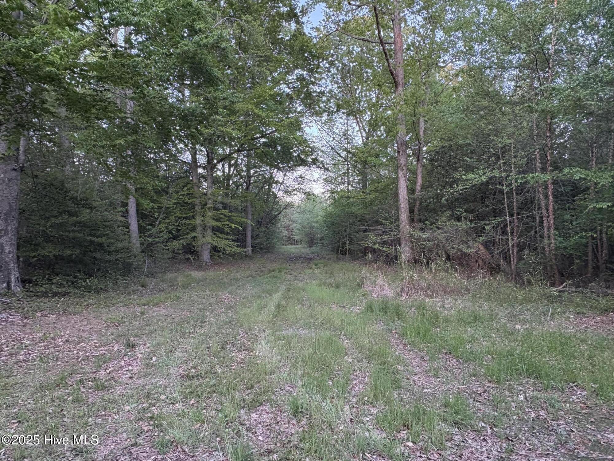 Off Speights Chapel Road Property Photo 43