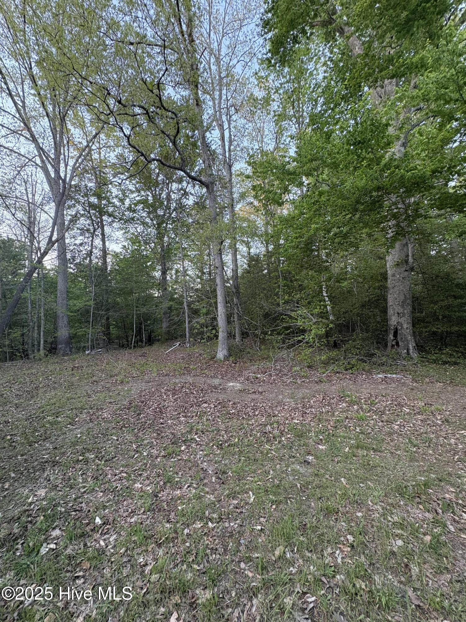 Off Speights Chapel Road Property Photo 44