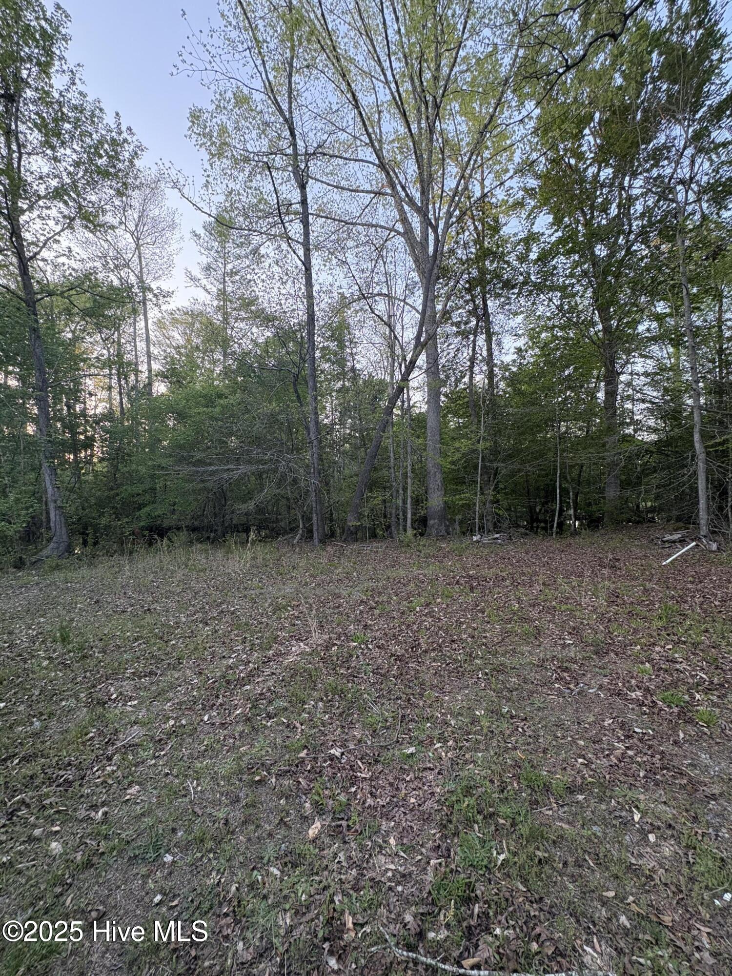 Off Speights Chapel Road Property Photo 45