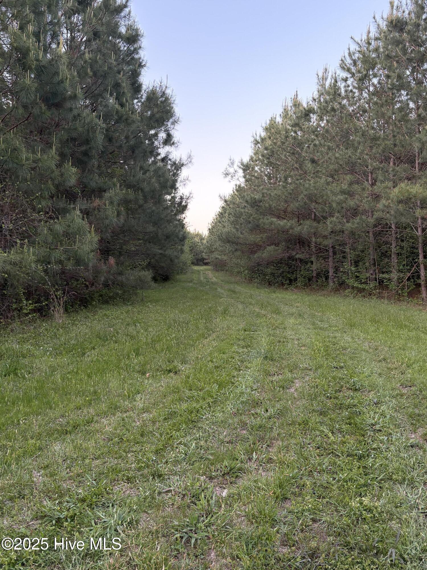 Off Speights Chapel Road Property Photo 46