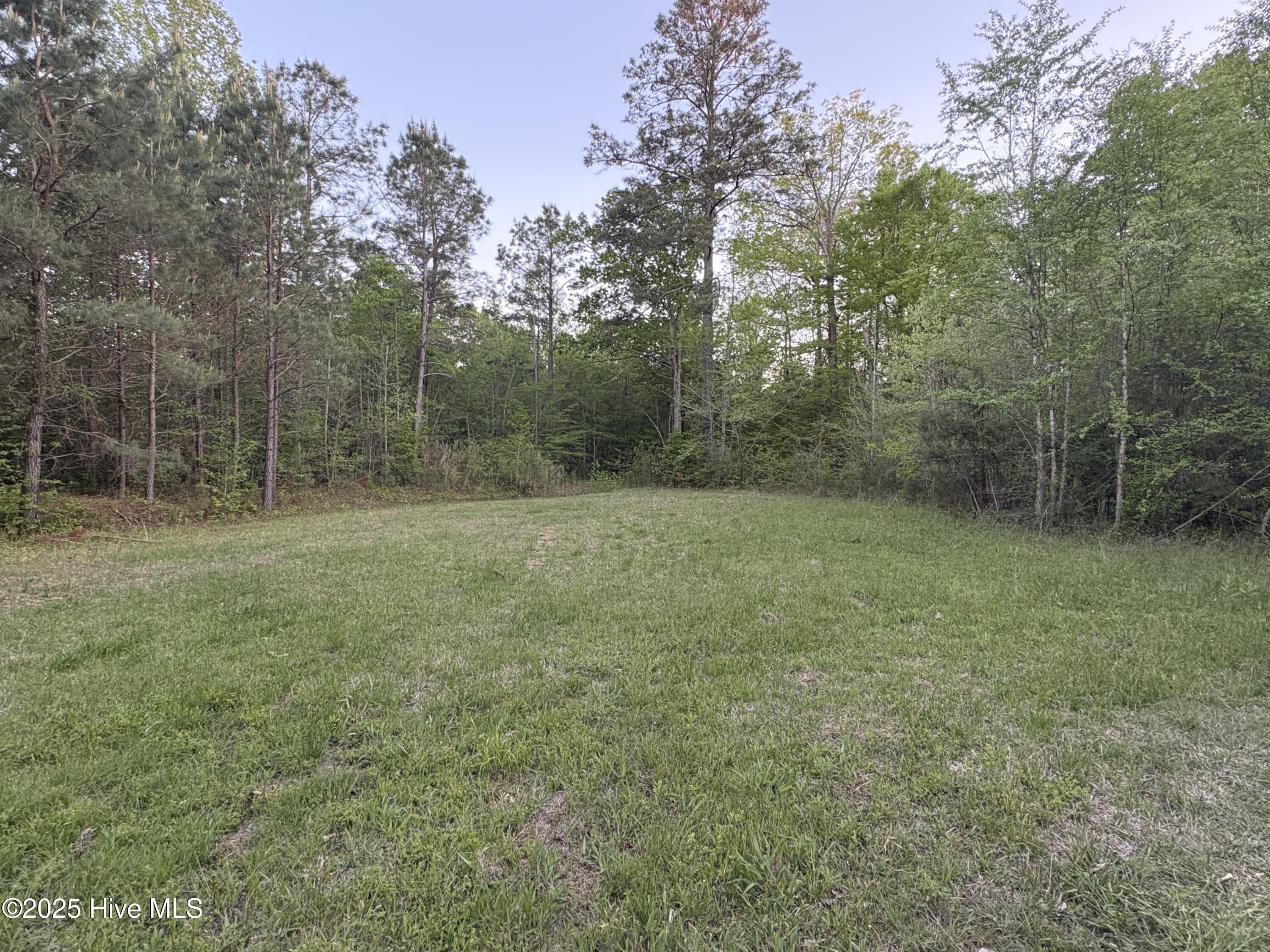 Off Speights Chapel Road Property Photo 47