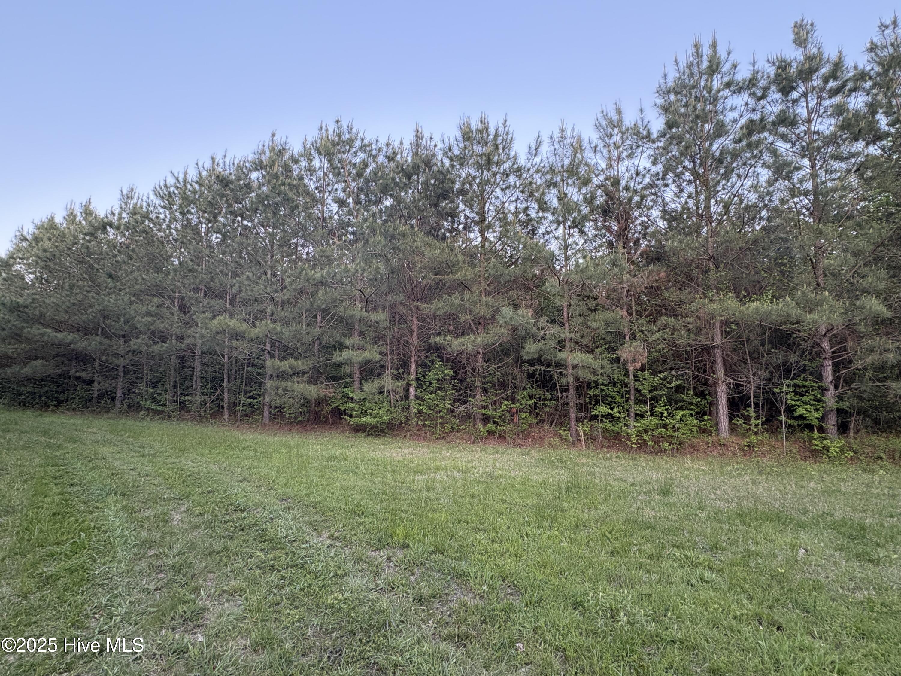 Off Speights Chapel Road Property Photo 48