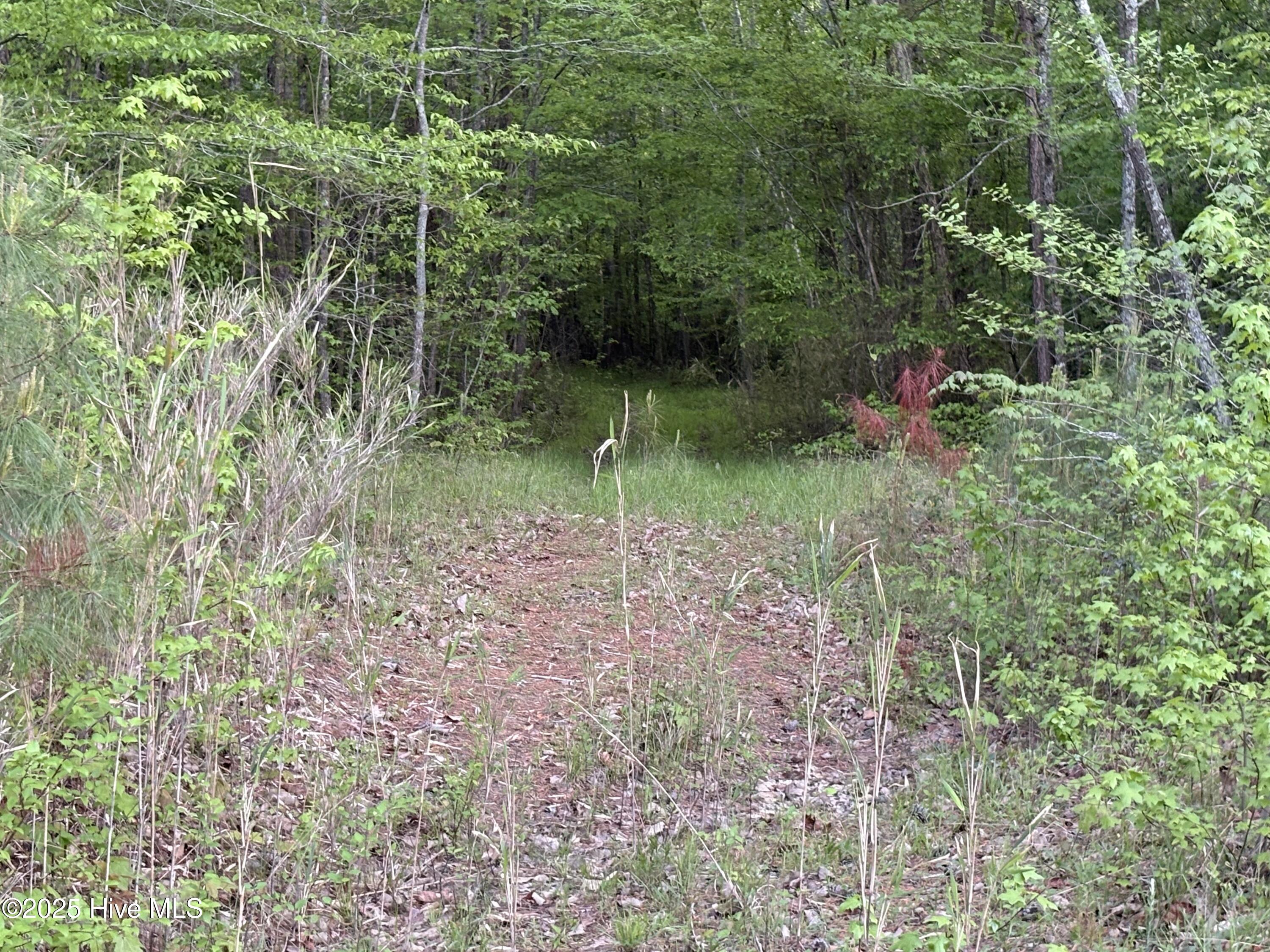 Off Speights Chapel Road Property Photo 49