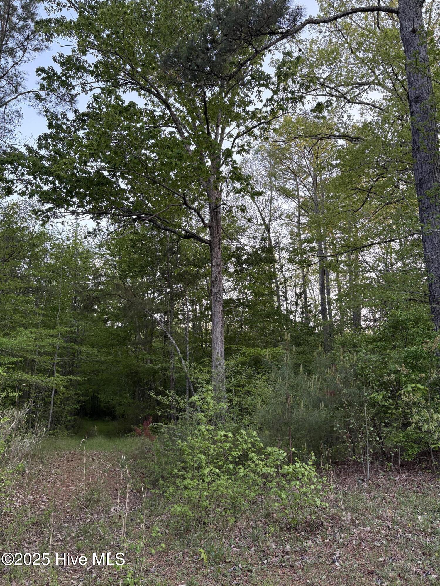 Off Speights Chapel Road Property Photo 50