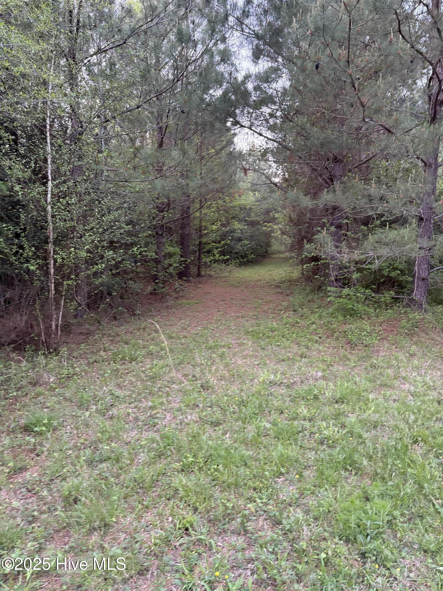 Off Speights Chapel Road Property Photo 51