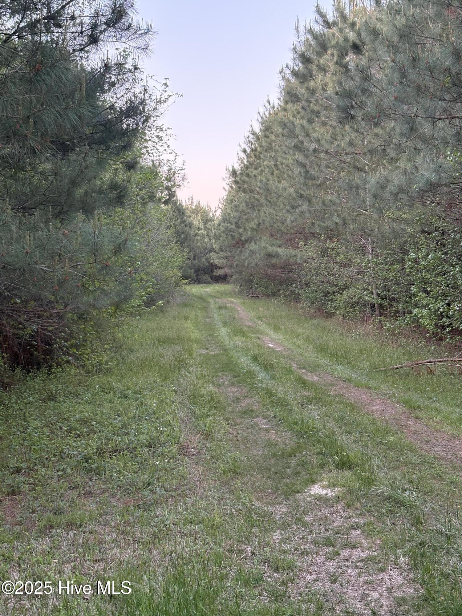 Off Speights Chapel Road Property Photo 52